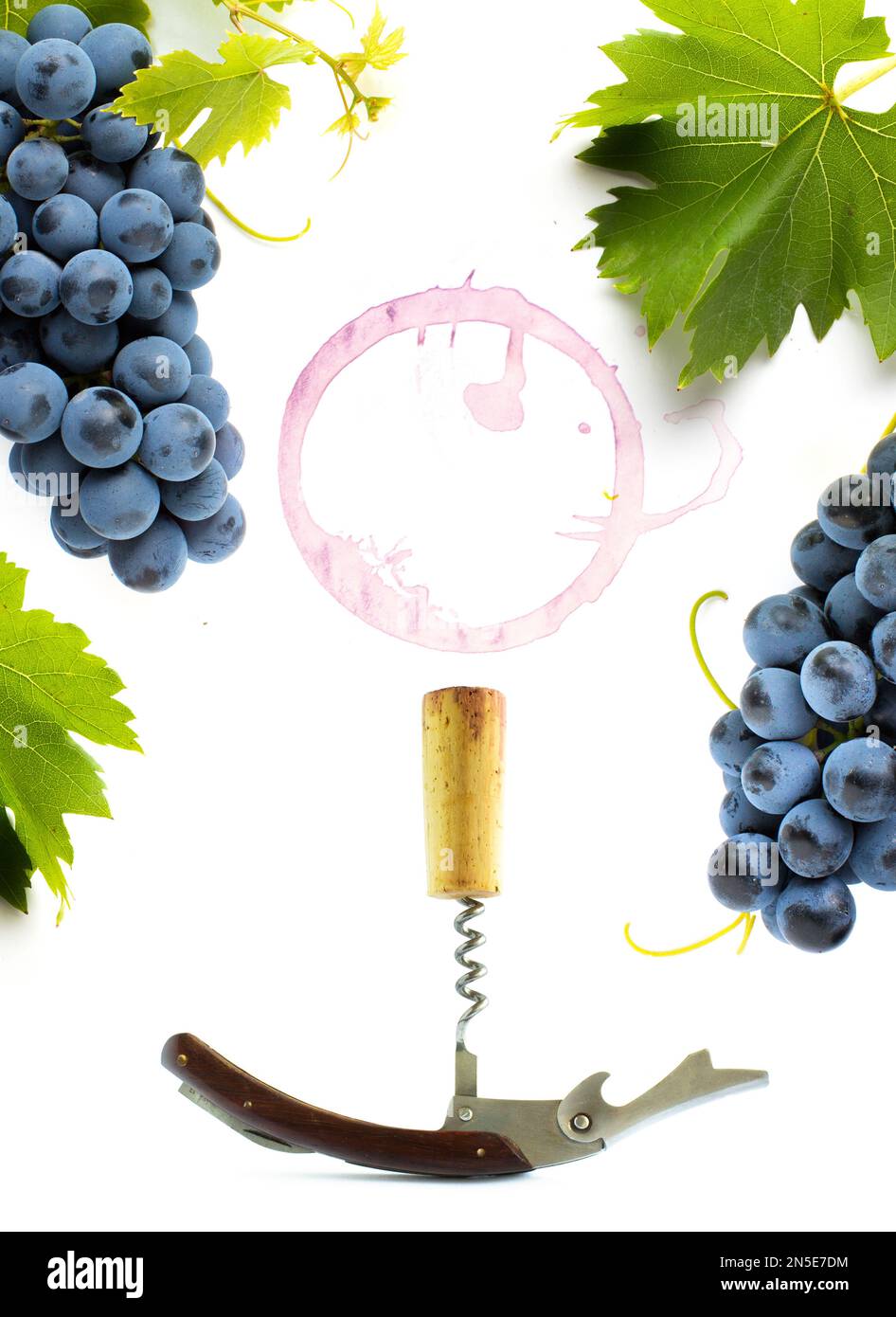 concept carte des vins ou carte des vins fond de design; vigne et raisins feuille et bouteille-vis sur fond blanc Banque D'Images