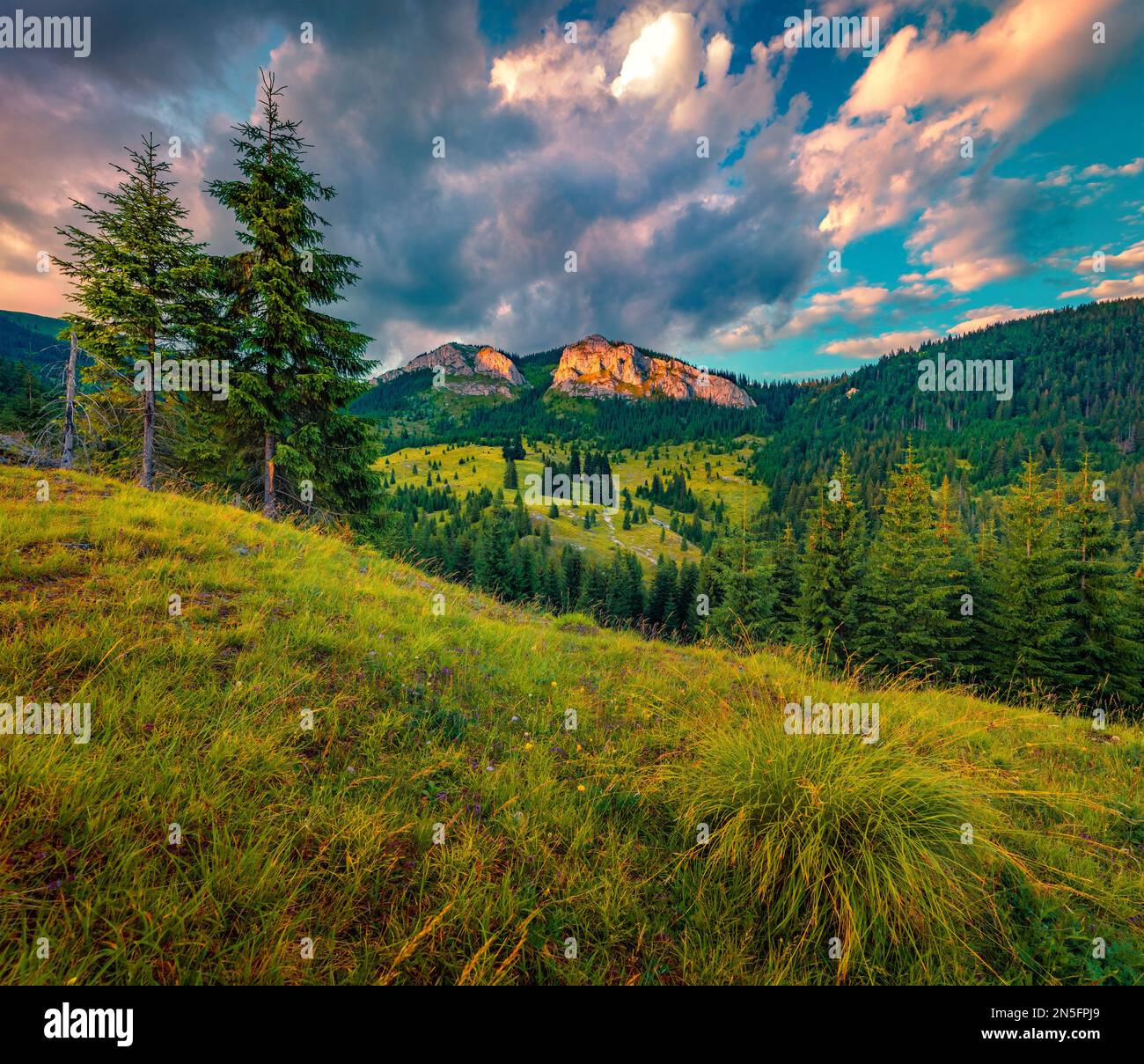 Magnifique paysage d'été. Magnifique vue du matin sur le pic de Pietrelle Albe. Magnifique scène extérieure du parc naturel d'Apuseni, Cluj County, Roumanie, Banque D'Images