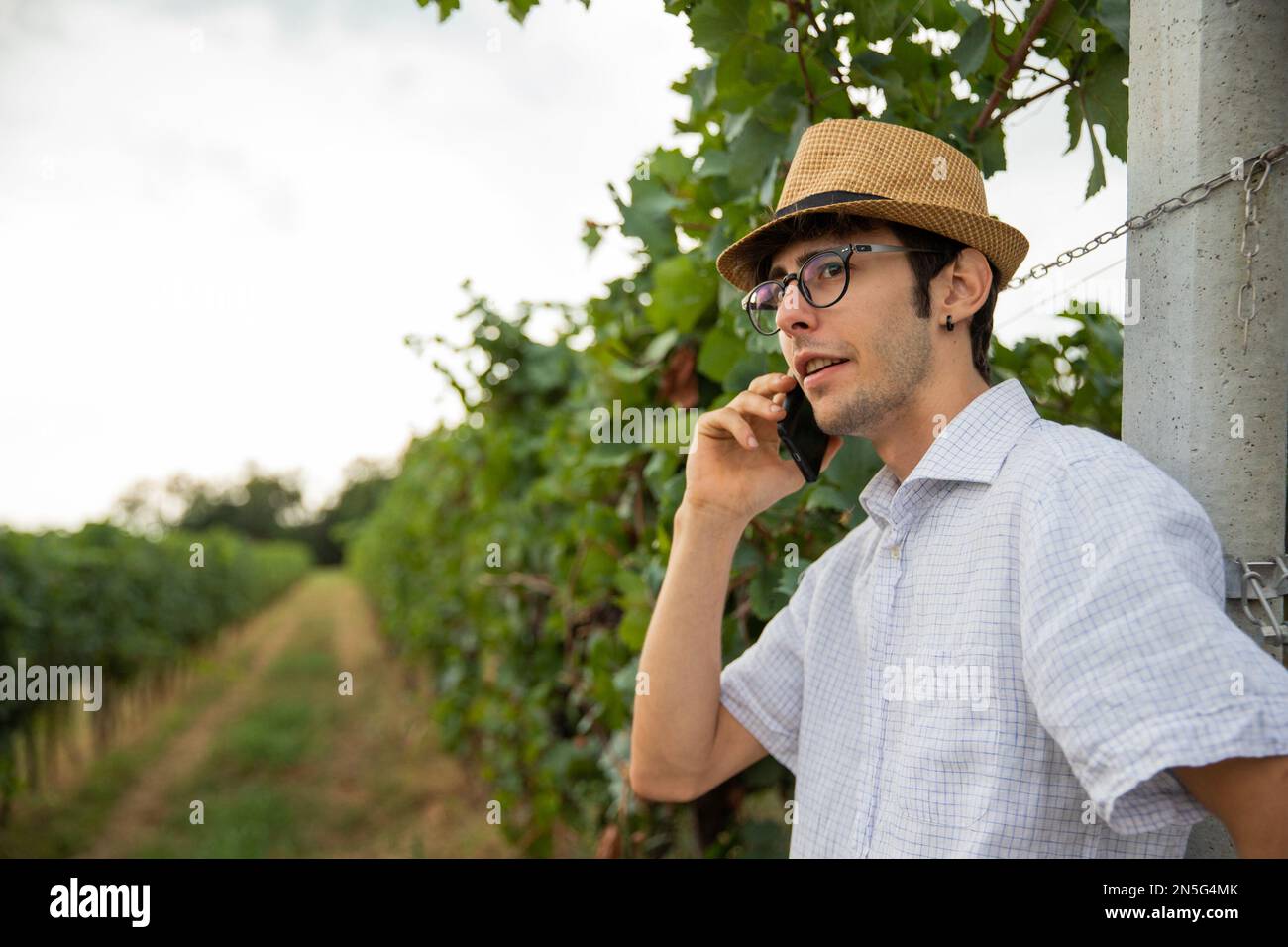 Un viticulteur italien passe un appel téléphonique dans son vignoble. Banque D'Images