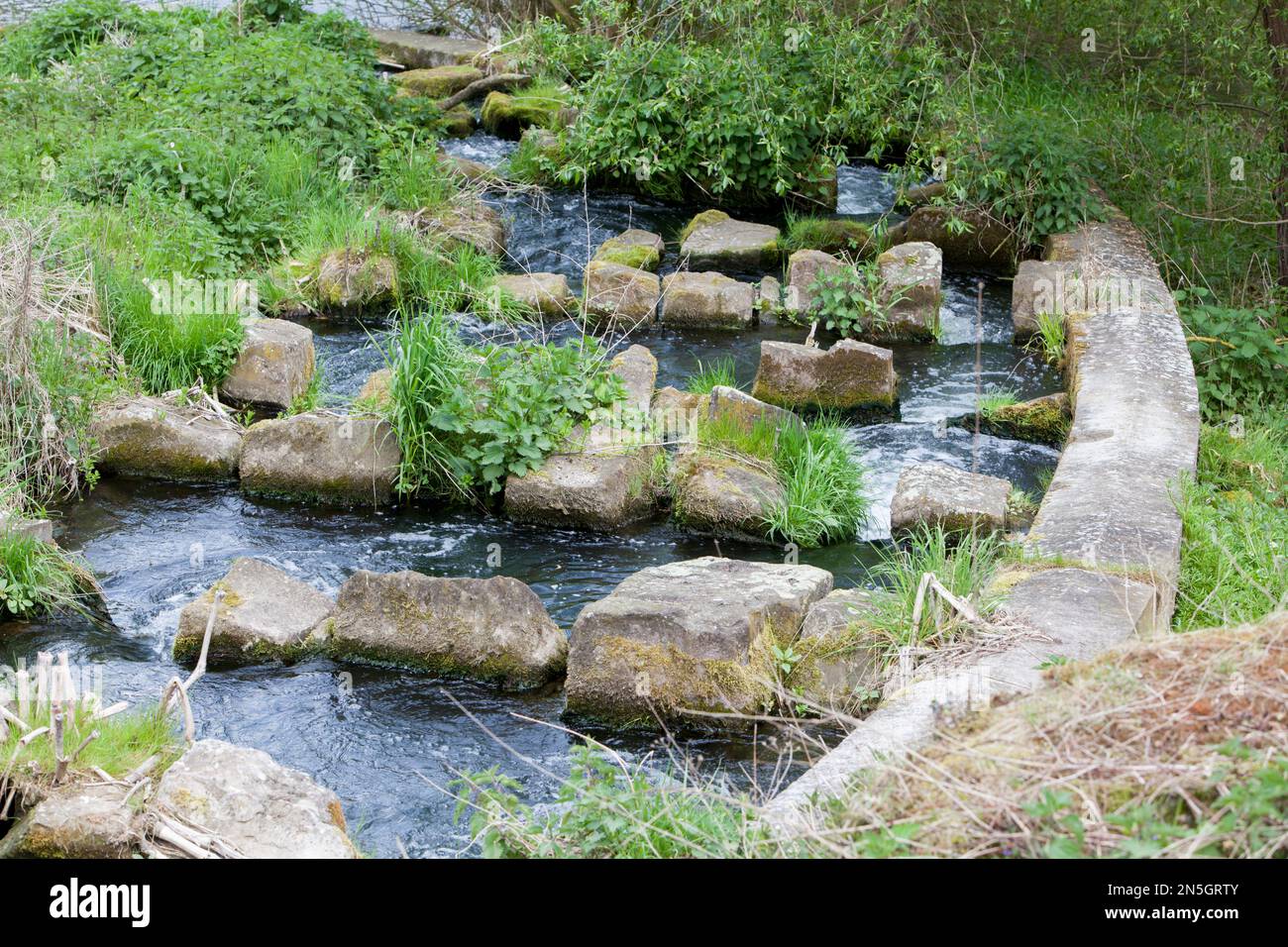 Une échelle à poissons près du déversoir de la rivière Diemel, Trendelburg, district de Kassel, Hesse, Allemagne Banque D'Images