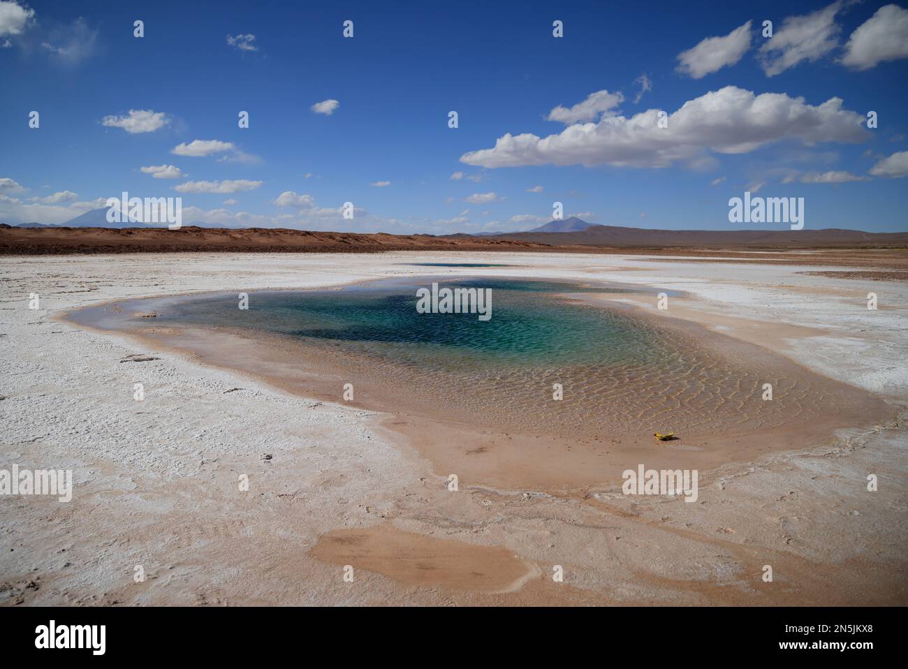 Les eaux vertes d'Ojos de Mar à Puna Argentine Banque D'Images