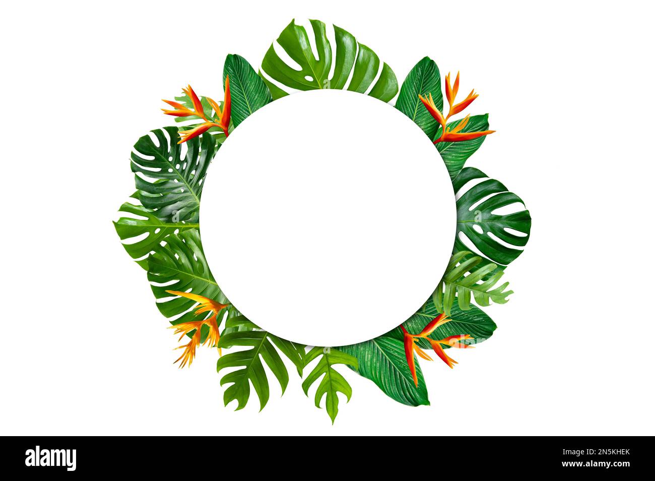 Forêt tropicale avec des feuilles et des fleurs entourant un cadre de cercle blanc sur fond blanc. Banque D'Images