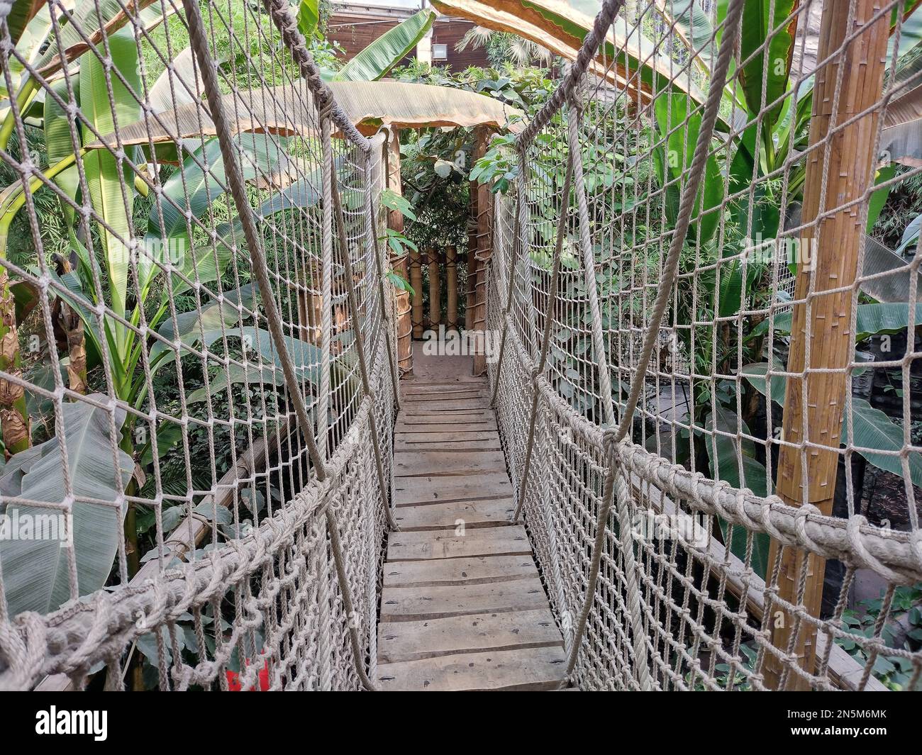 Pont de bois et de corde dans un endroit avec des plantes tropicales et des arbres Banque D'Images