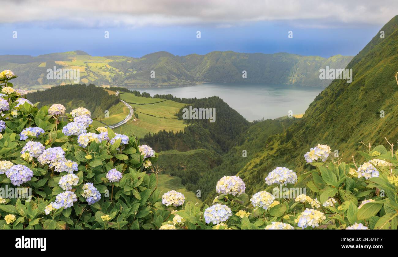 Panorama sur un lac cratère avec Hydrangeas en premier plan Banque D'Images Panorama sur un lac cratère avec Hydrangeas en premier plan Banque D'Images