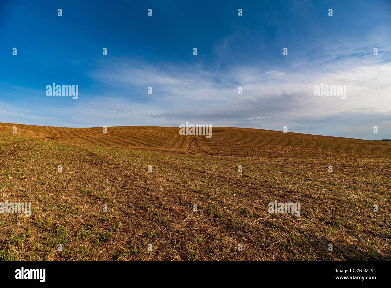 Terrain labouré avec tracteur, Sicile Banque D'Images