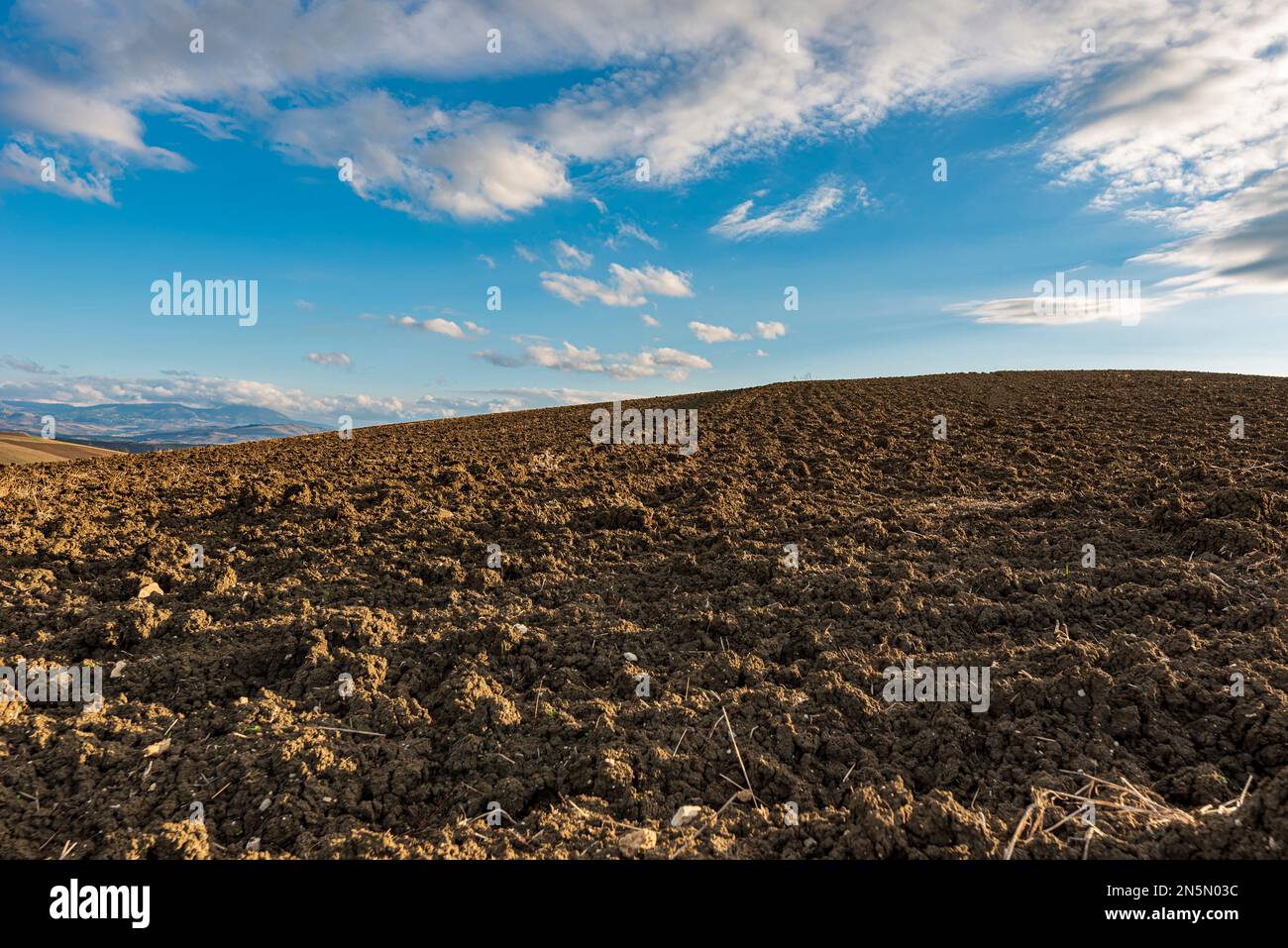 Terrain labouré avec tracteur, Sicile Banque D'Images