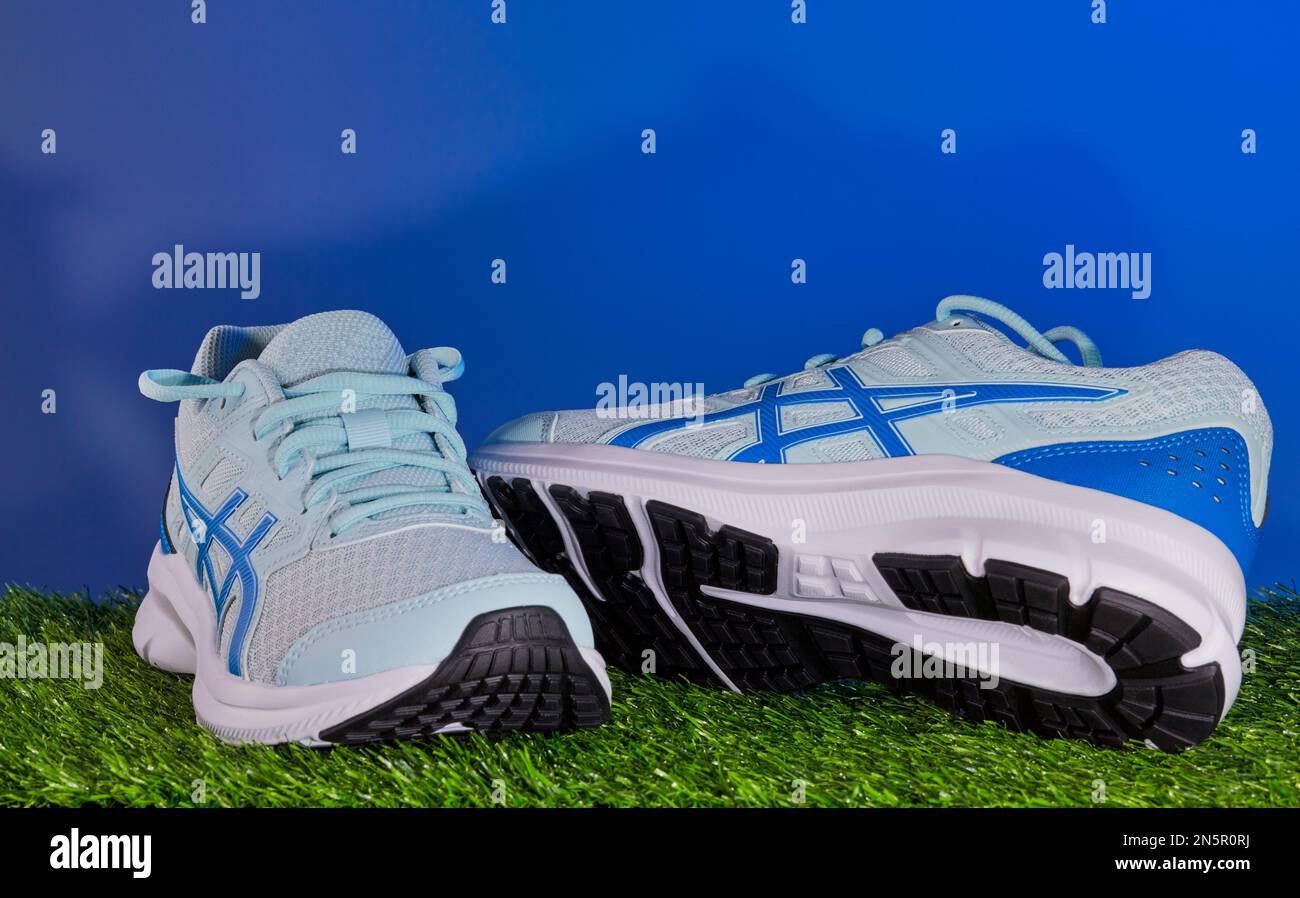 Paire de baskets bleu et blanc frais reposant sur de l'herbe avec un fond bleu. Banque D'Images