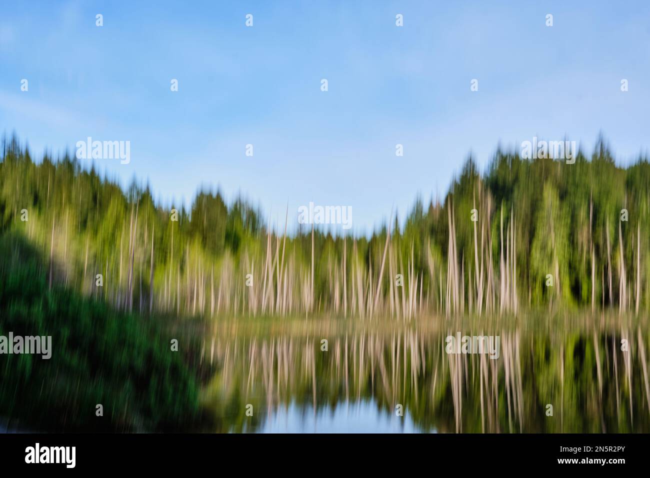 Les arbres et leurs réflexions au lac Katherine, sur la Sunshine Coast de la Colombie-Britannique, sont flous par le mouvement intentionnel de caméra (ICM). Banque D'Images