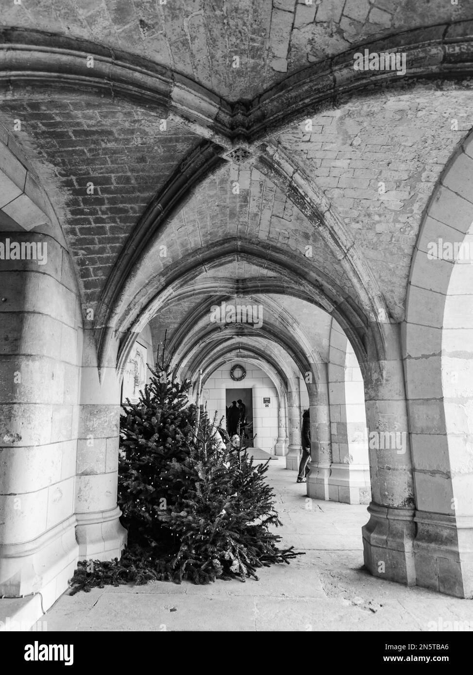 Chenonceau, France - décembre 30 2022 : la galerie de style gothique du château d'Amboise Banque D'Images