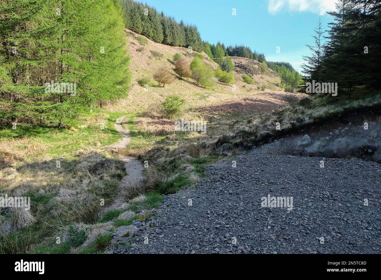 Le sentier de randonnée de Rob Roy Way passe par les collines de Menteith dans le parc forestier Queen Elizabeth près d'AberDoyle dans les Trossachs, en Écosse. Banque D'Images