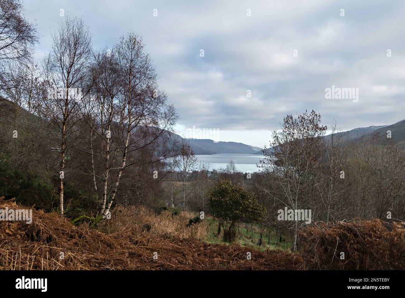 Vue sur le Loch Earn depuis le sentier de randonnée de Rob Roy Way à Glen Ogle. Loch Lomond et le parc national des Trossachs, Highlands of Scotland. Banque D'Images
