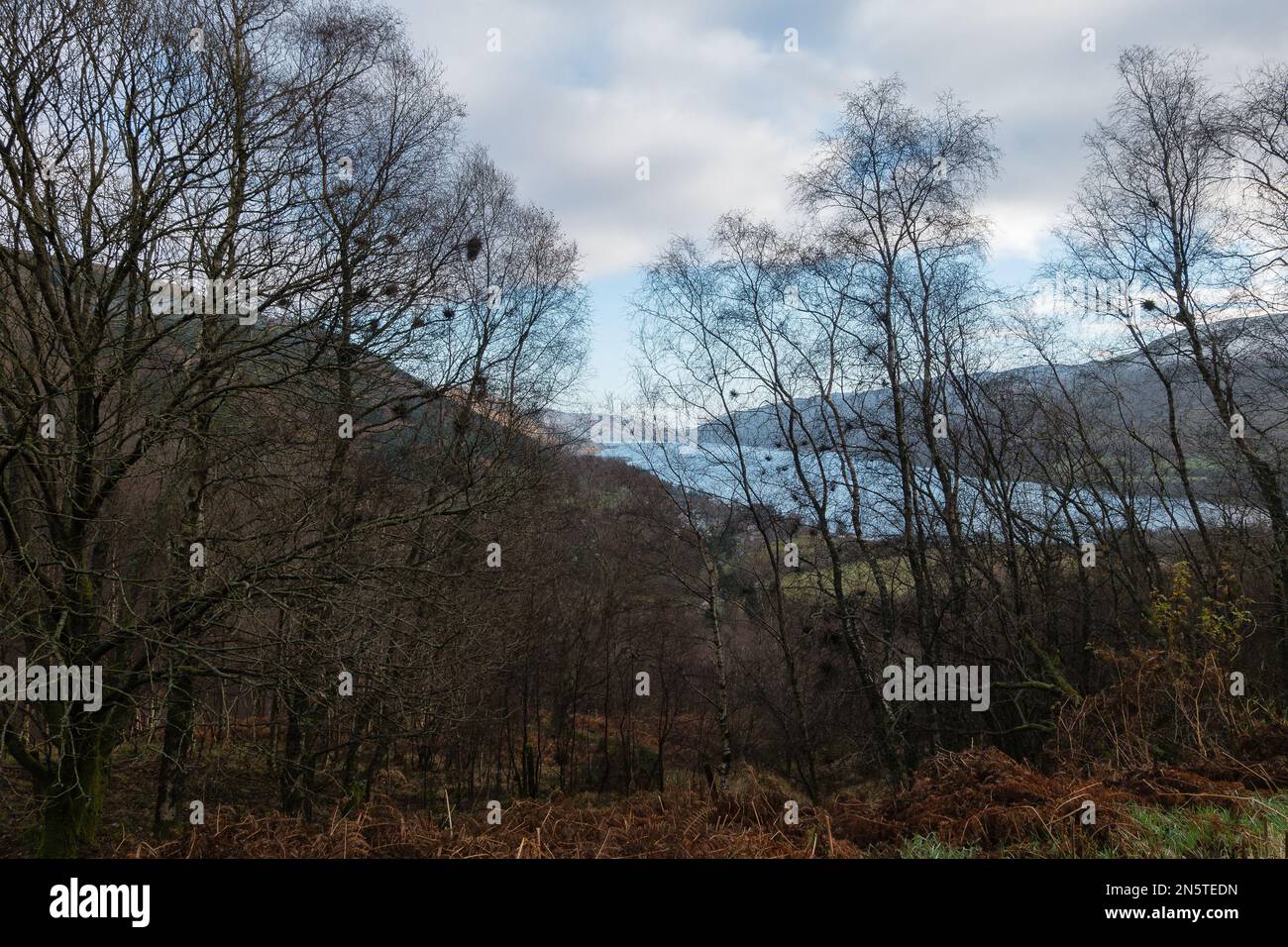 Vue sur le Loch Earn depuis le sentier de randonnée de Rob Roy Way à Glen Ogle. Loch Lomond et le parc national des Trossachs, Écosse. Banque D'Images