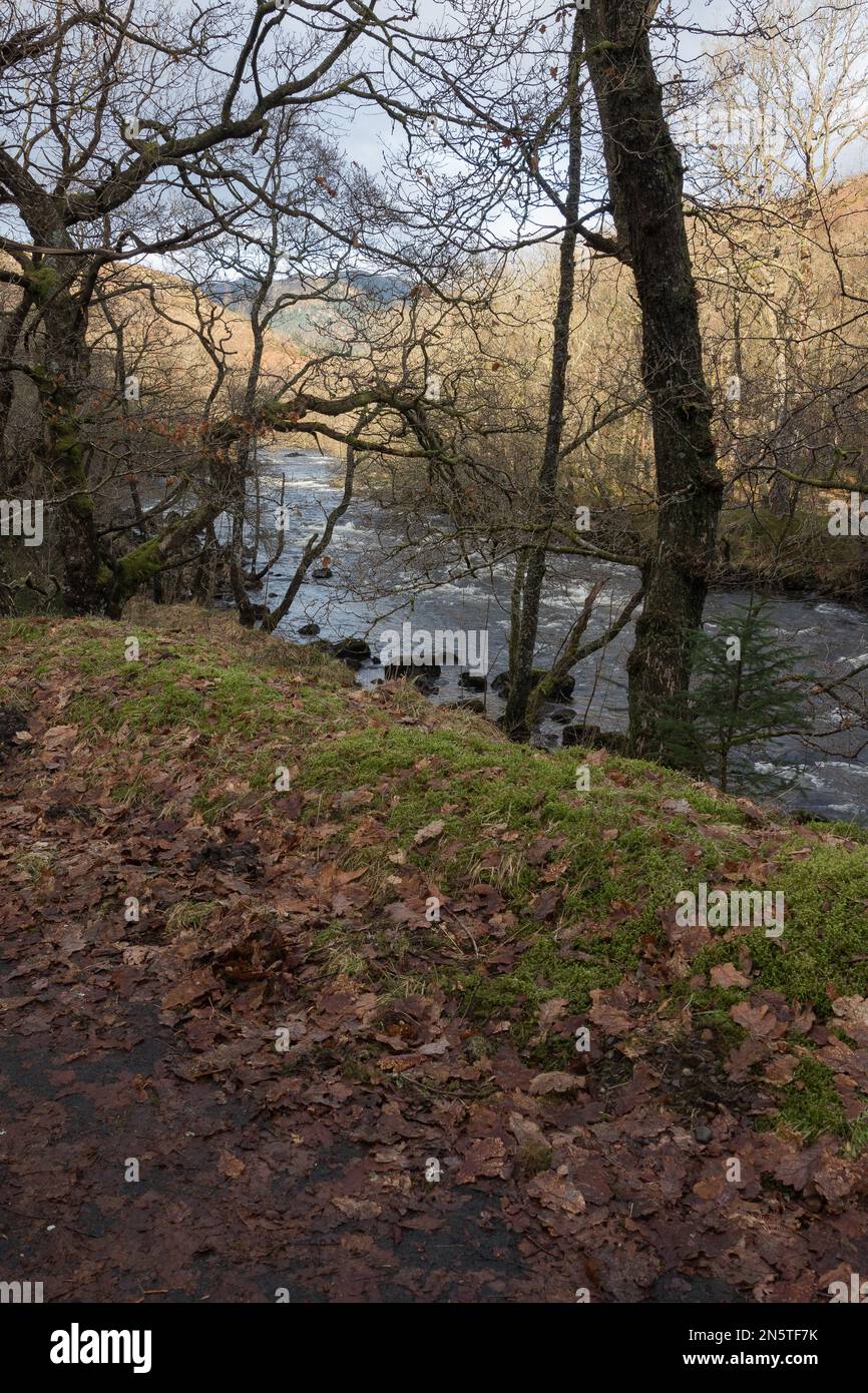 La rivière Leny. (Alias Garbh Uisge) depuis le sentier de randonnée Rob Roy Way au col de Leny, au Loch Lomond et au parc national des Trossachs, en Écosse. Banque D'Images