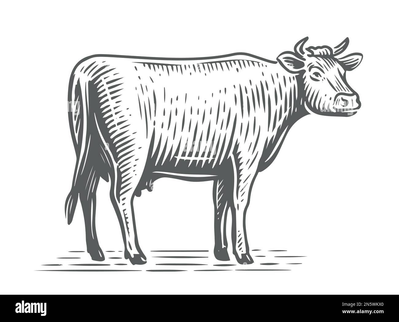 Croquis de vache laitière. Animal de ferme. Vache tirée à la main, debout sur toute la longueur devant un arrière-plan blanc. Illustration vectorielle Illustration de Vecteur