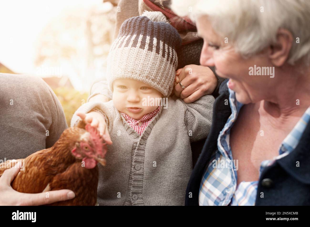 Famille avec oiseau de poulet assis dans la ferme avicole, Bavière, Allemagne Banque D'Images