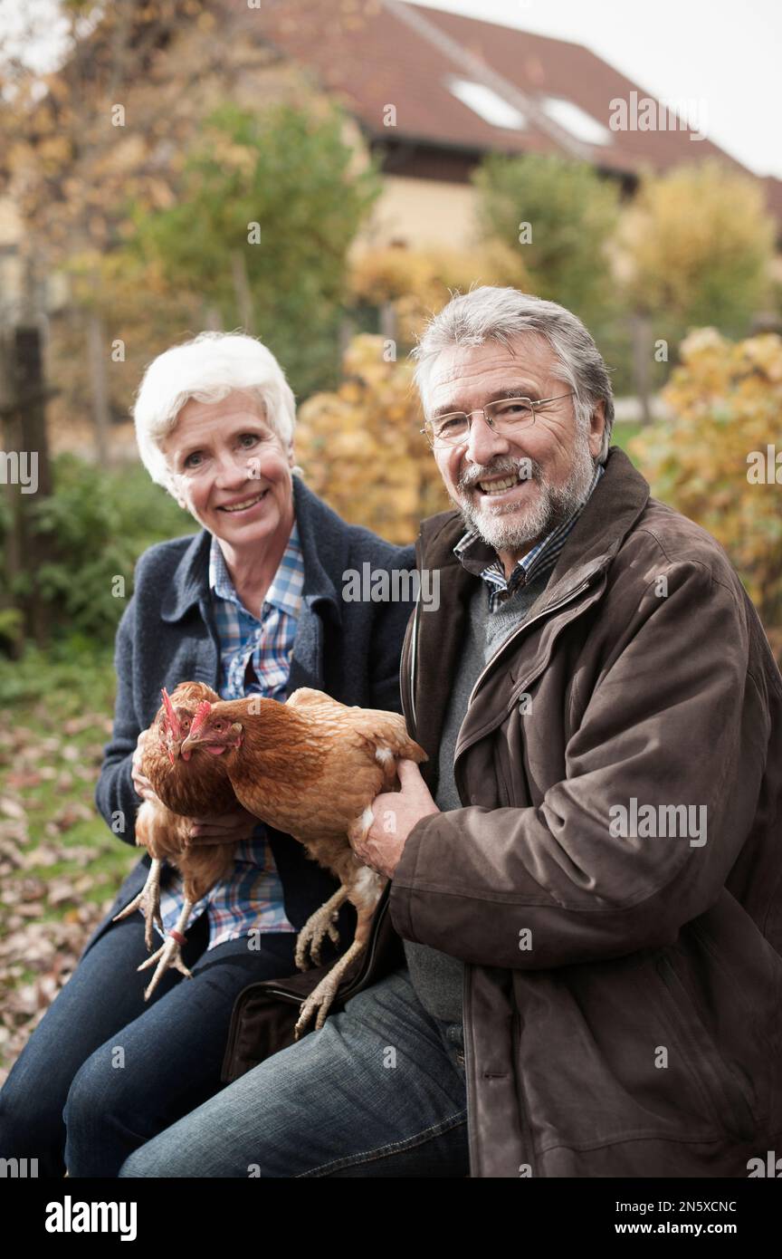 Couple mature tenant des oiseaux de poulet dans la ferme, Bavière, Allemagne Banque D'Images