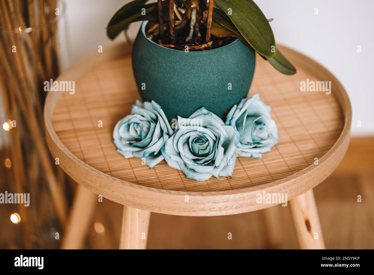 Roses bleues sur une table en bambou, avec des feuilles d'orchidées dans un pot vert, confortable et doux Banque D'Images