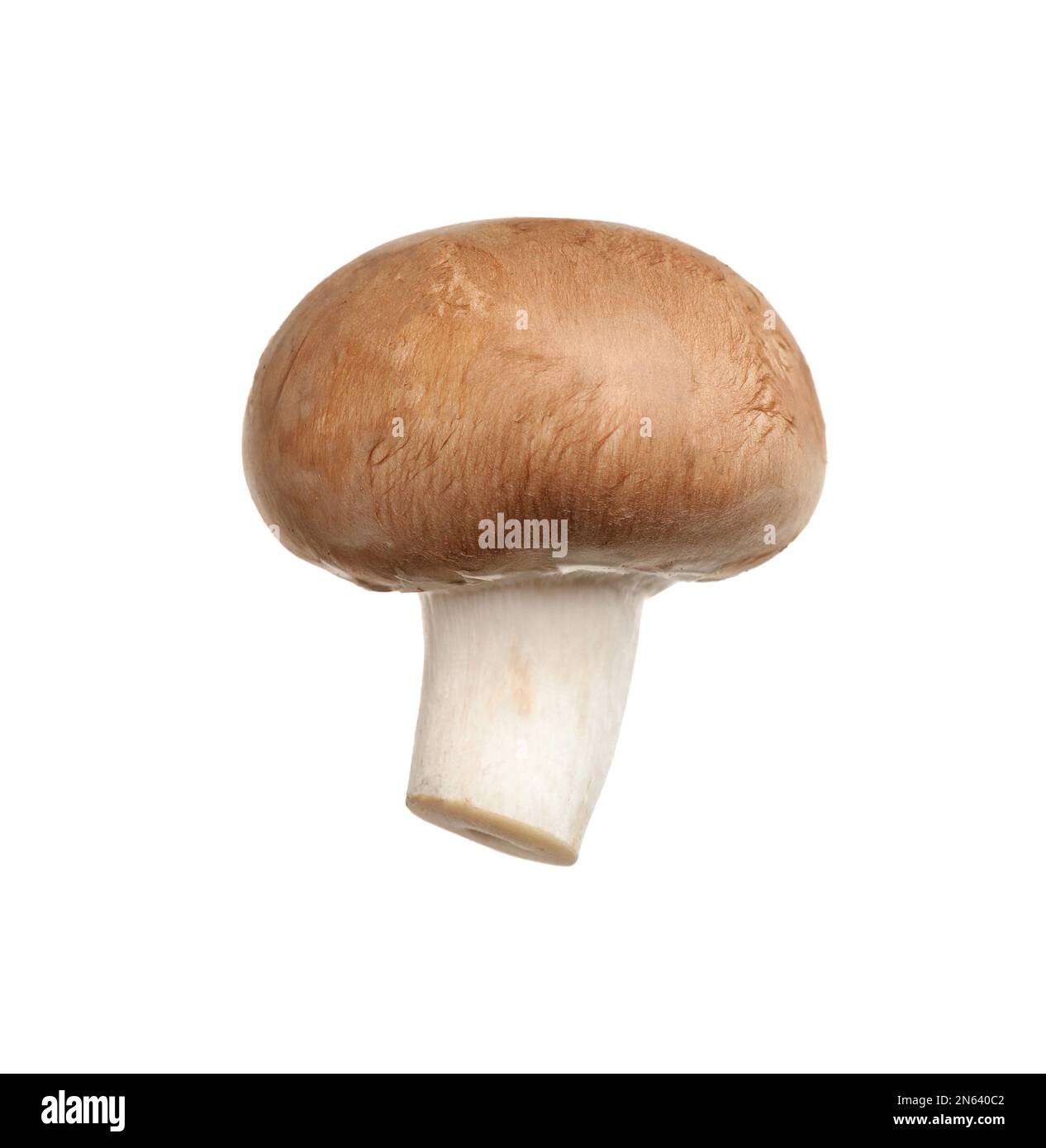 Champignons frais sauvages isolés sur blanc Banque D'Images