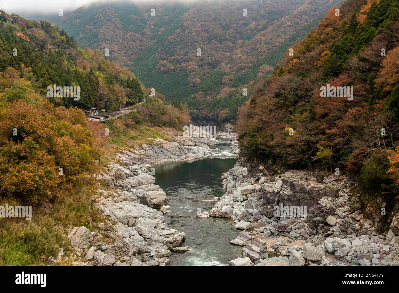 Rivière Fujikawadani et montagnes Shikoku avec feuillage d'automne, île Shikoku, Japon Banque D'Images