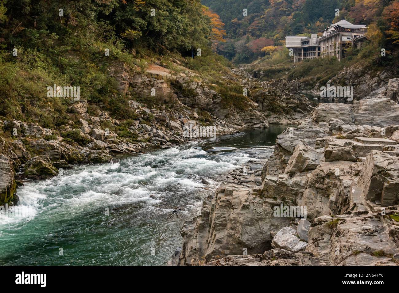Couleurs d'automne dans la gorge d'Oboke, rivière Yoshino, île de Shikoku, Japon Banque D'Images