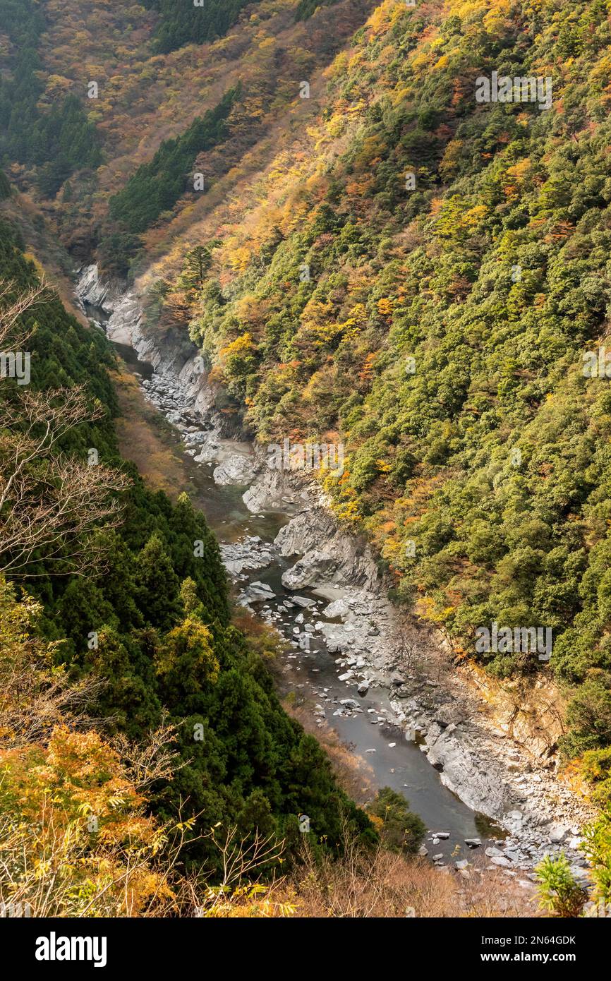 Gorge de la rivière Iya aux couleurs d'automne, île de Shikoku, Japon Banque D'Images