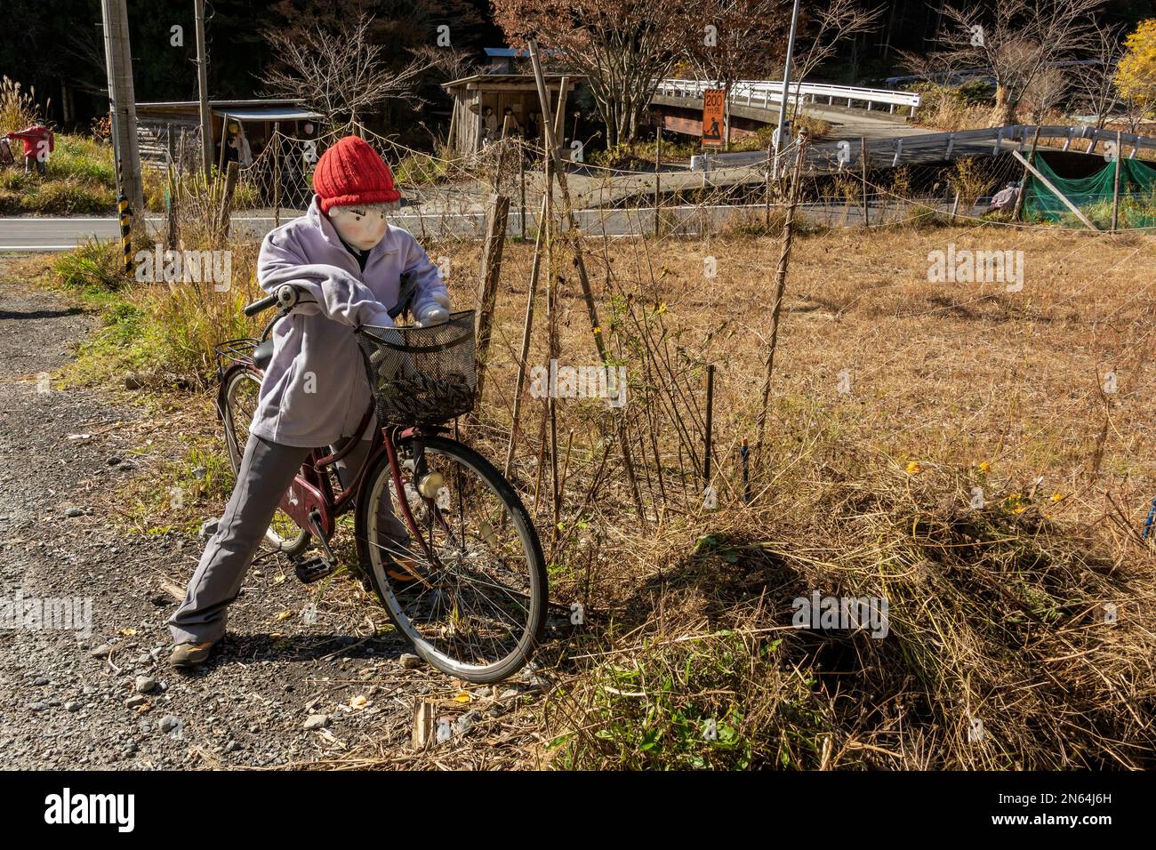 Kakashi Boy à vélo, Nagoro Doll Village, Iya Valley, Japon Banque D'Images