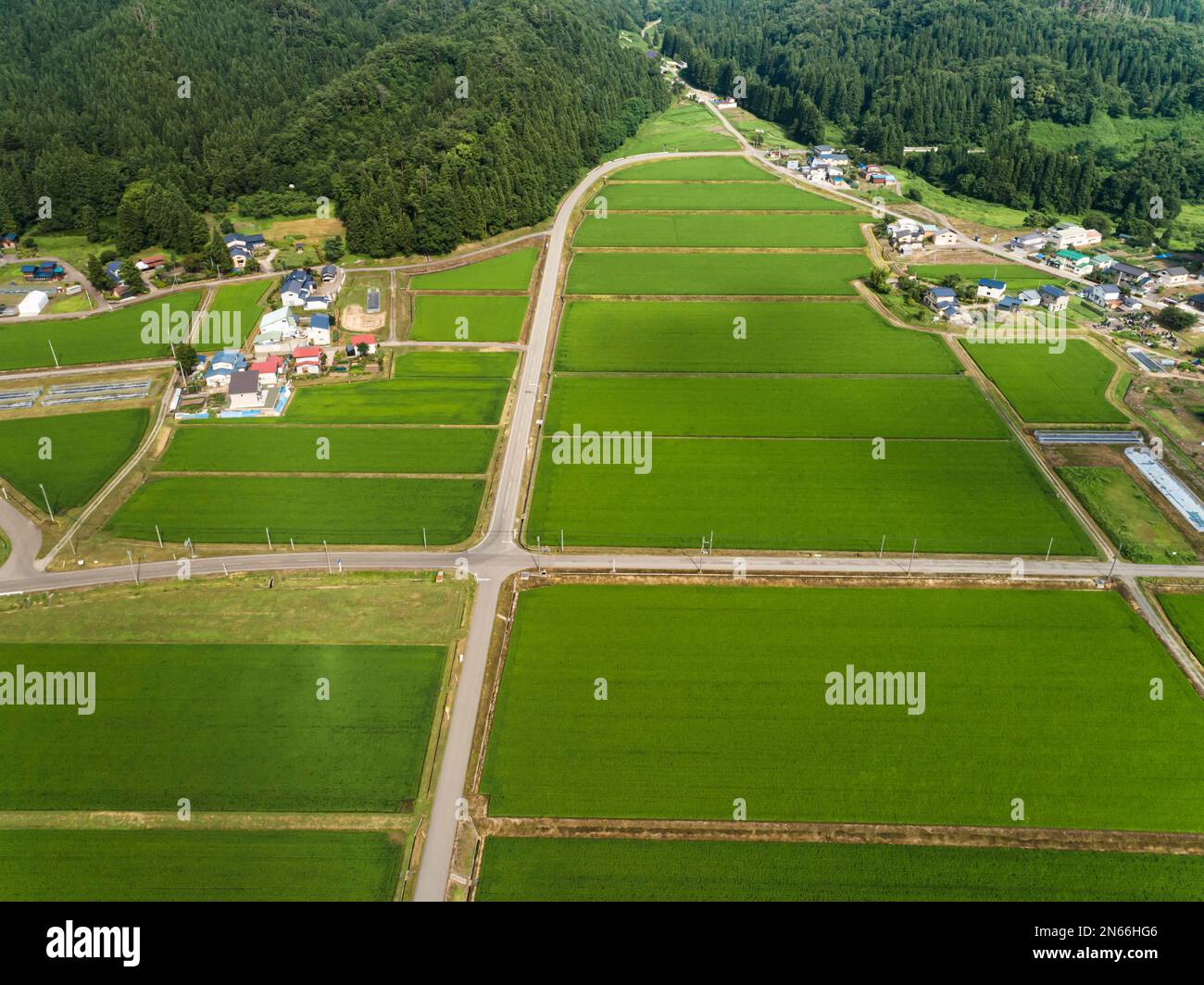 Champ de riz, motif en damier, maisons de fermier, pied de montagnes, drone aérien, ville de Yokote, Akita, Tohoku, Japon, Asie de l'est, Asie Banque D'Images