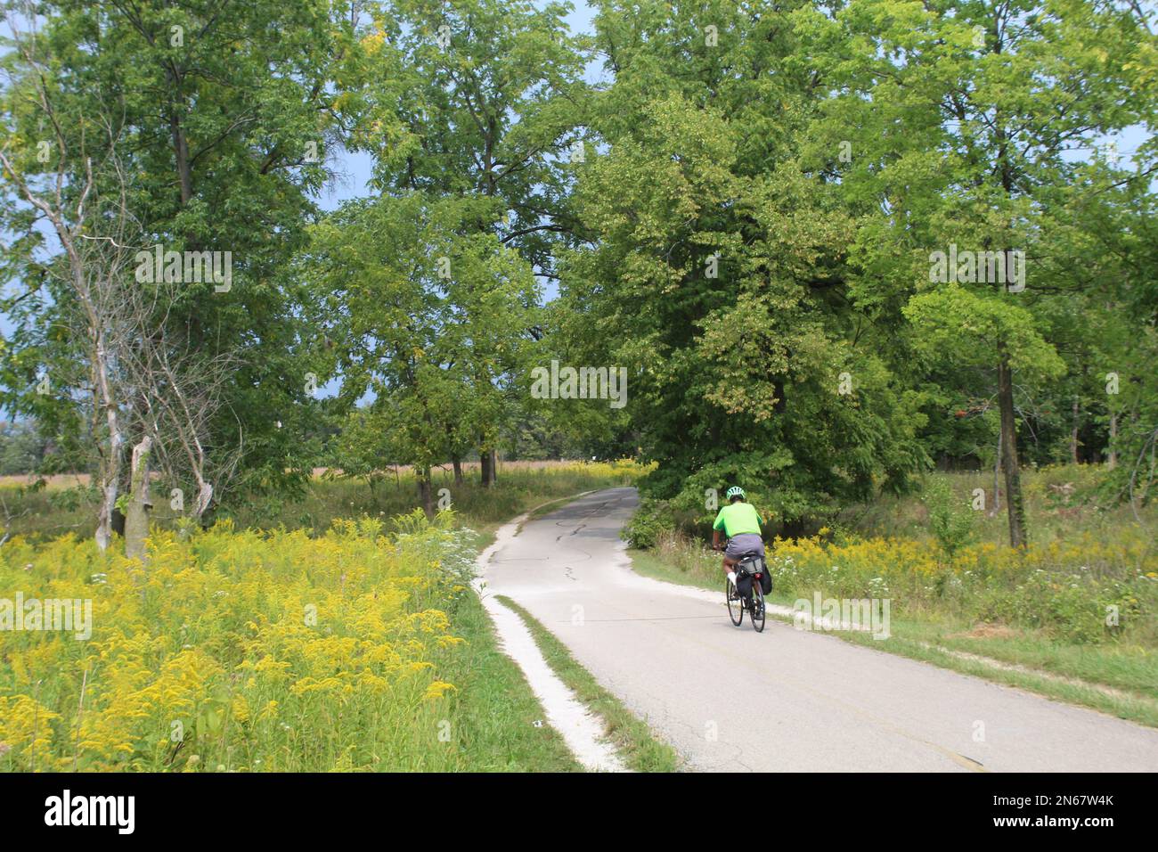 Homme à vélo seul sur le North Branch Trail à la fin de l'été avec des fleurs d'or des deux côtés dans un champ à Miami Woods dans Morton Grove il Banque D'Images