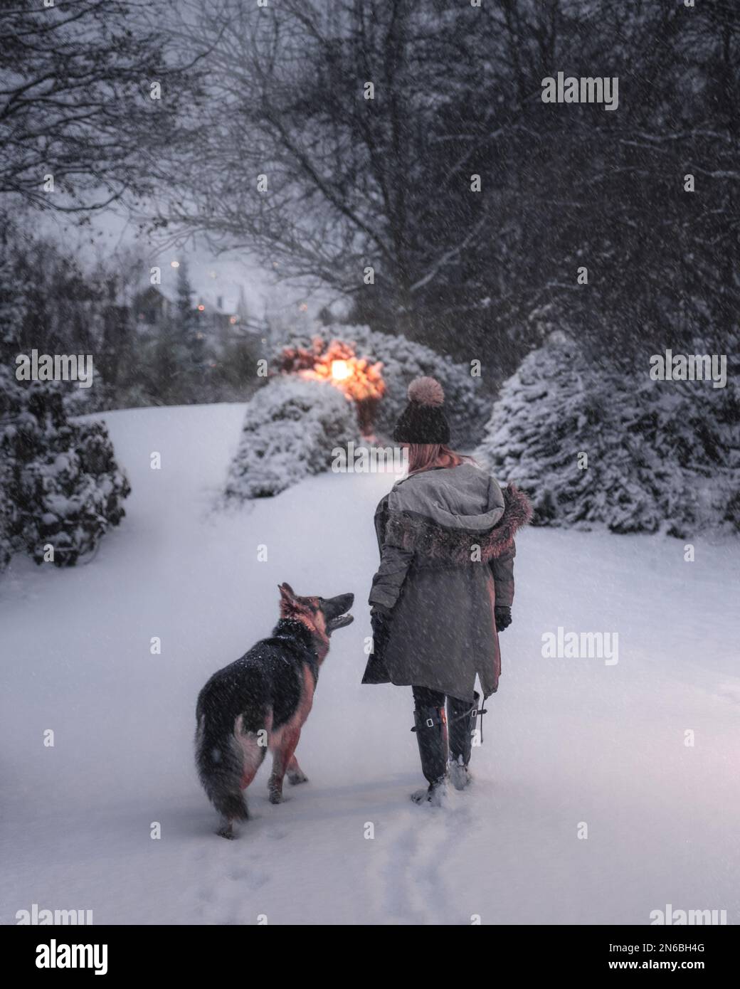 fille et chien marchant dans la neige Banque D'Images