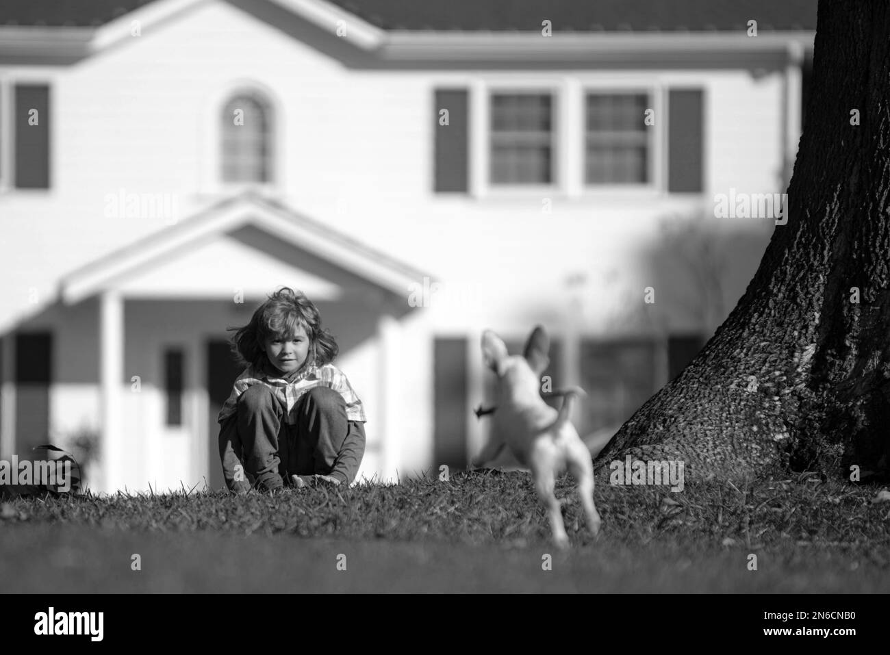 Enfant mignon garçon jouant avec chien chihuahua sur la pelouse de cour arrière. Banque D'Images