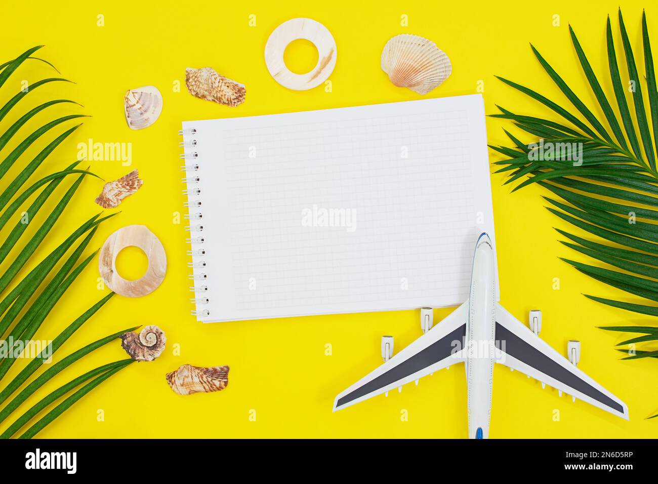 Branches de palmier avec cadre de coques et bloc-notes, plan sur fond jaune d'été. Vacances, concept de voyage, plan de travail avec vue sur le dessus, concept exotique minimal Banque D'Images