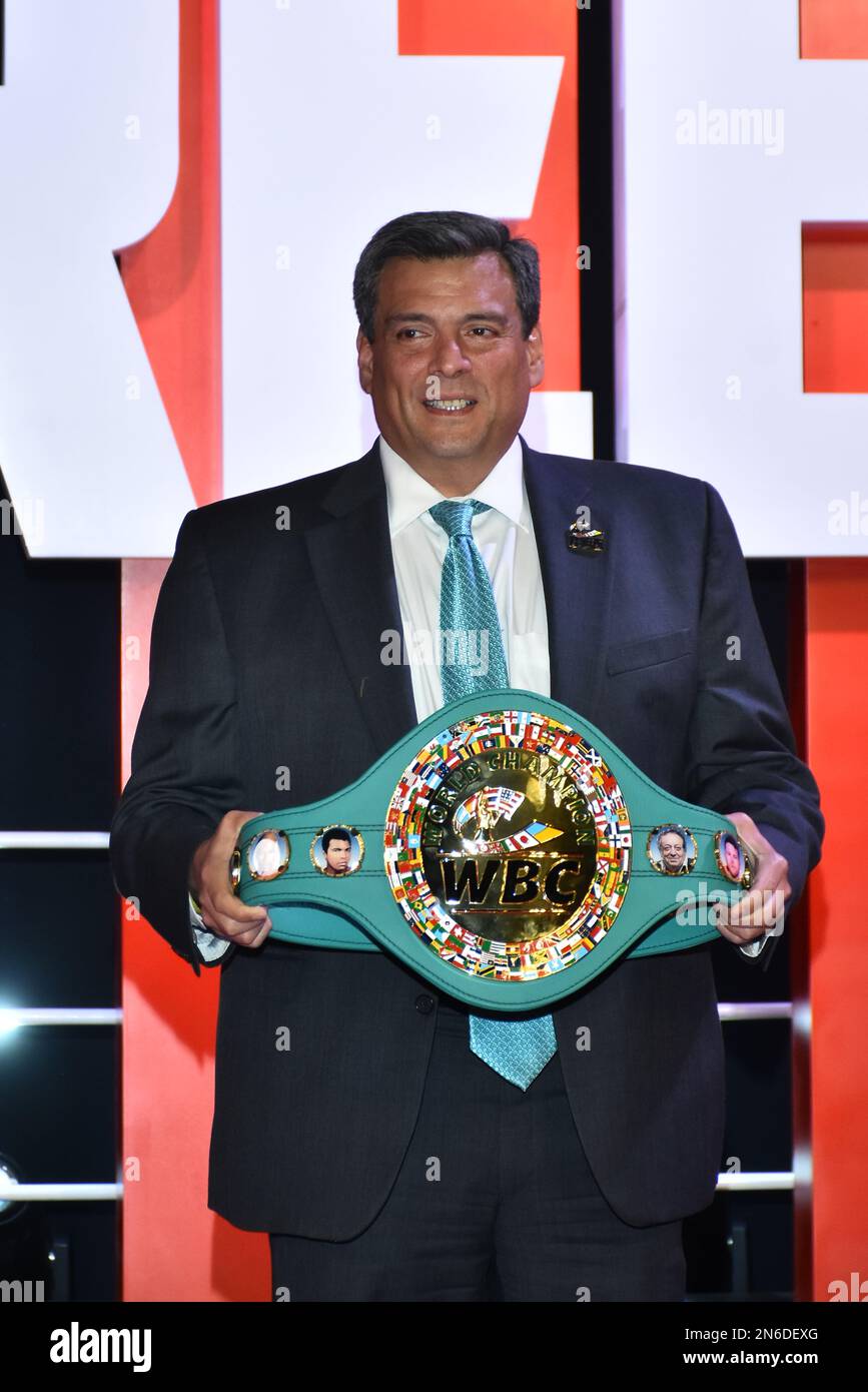 Mexico, Mexique. 9th févr. 2023. Mauricio Sulaimán Saldivar, président du Conseil mondial de boxe, assiste au premier ministre du film de tapis rouge Creed III au Cinepolis Plaza Universidad. Sur 9 février 2023 à Mexico, Mexique. (Credit image: © Carlos Tischler/eyepix via ZUMA Press Wire) USAGE ÉDITORIAL SEULEMENT! Non destiné À un usage commercial ! Banque D'Images