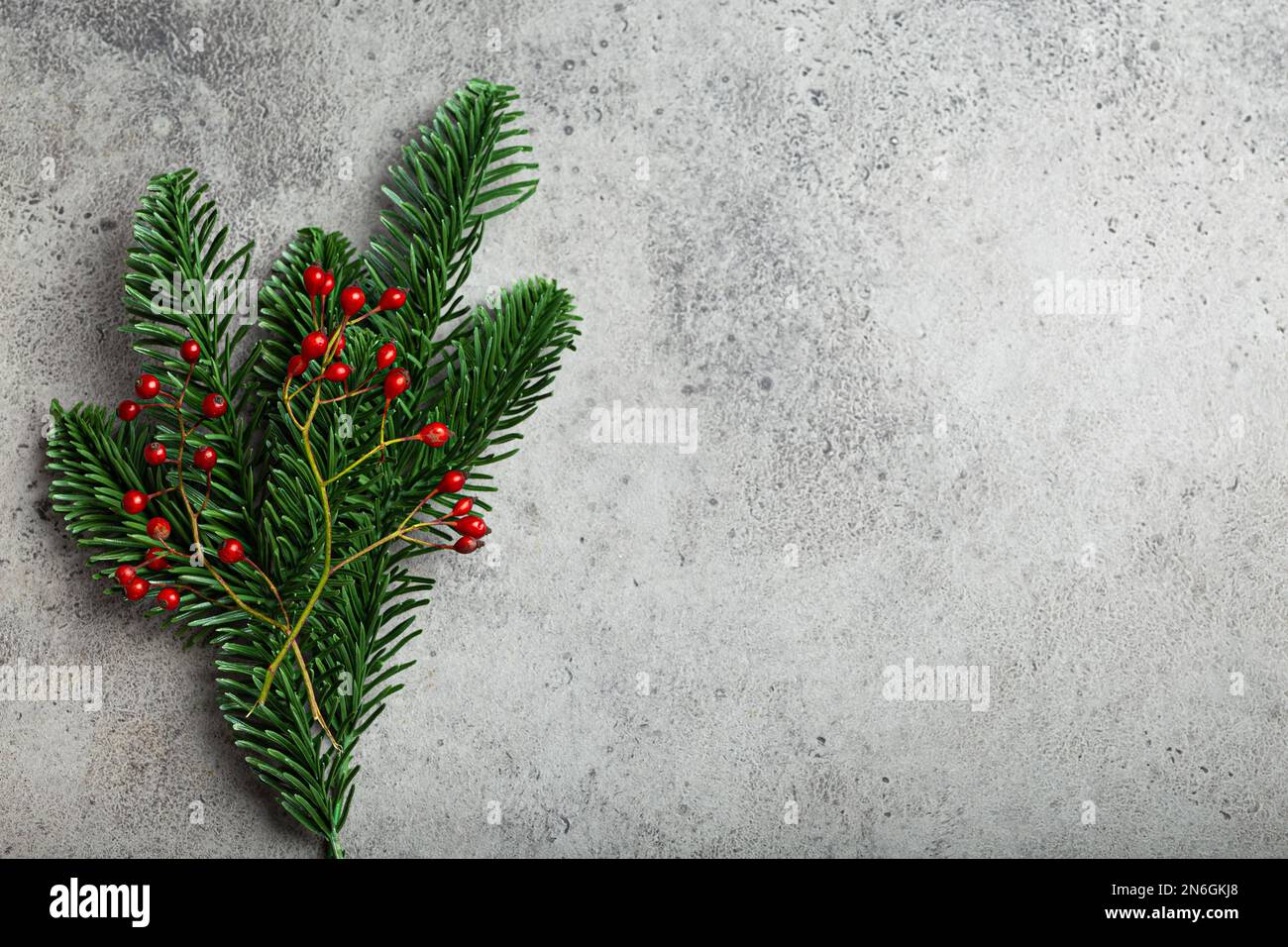 Cadre de composition de Noël et de nouvel an avec branche de sapin vert et baies rouges de forêt sur fond de béton de pierre grise avec espace libre Banque D'Images