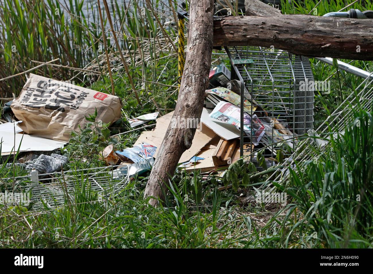 Déchets environnementaux dans le paysage, chariot de magasinage volé dans la nature, comportement antisocial, parc naturel du paysage de la rivière Peene Banque D'Images