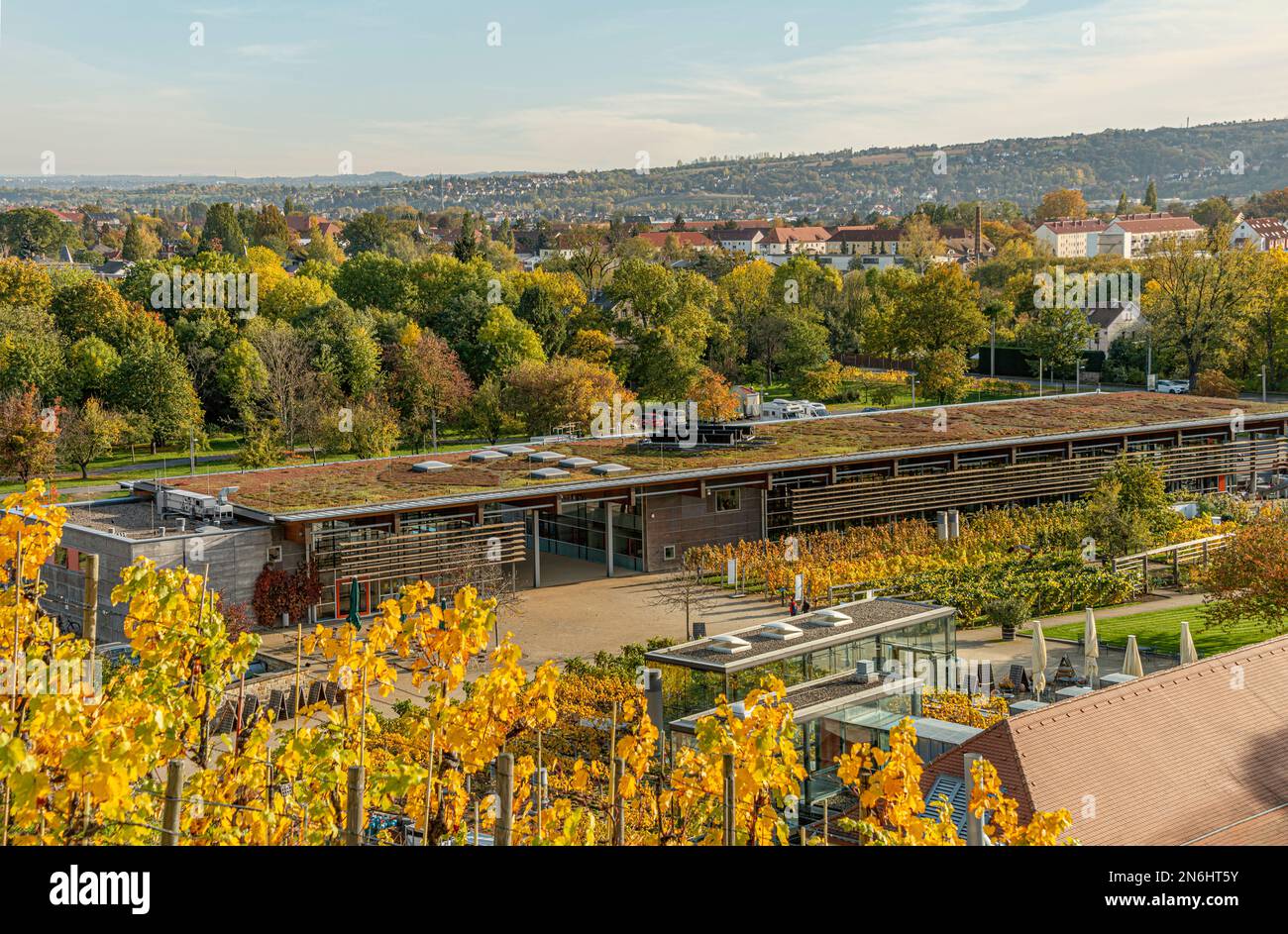 Salle de vente du vignoble saxon Schloss Wackerbarth à Radebeul près de Dresde, Saxe, Allemagne Banque D'Images