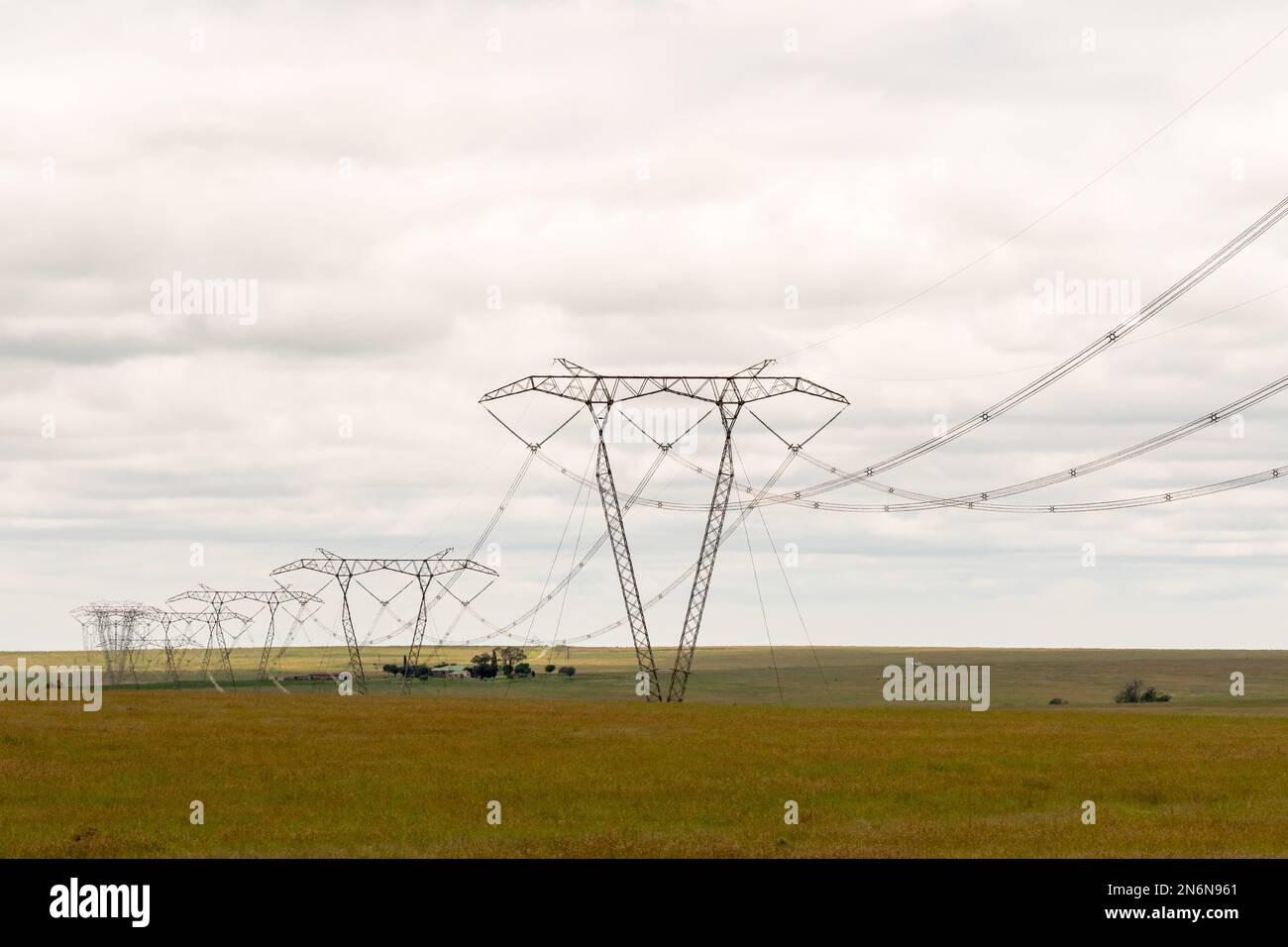 Concept de crise énergétique en Afrique du Sud, une ferme ou un paysage rural avec des pylônes d'électricité ou des lignes électriques dispersées sur les champs de l'État libre Banque D'Images