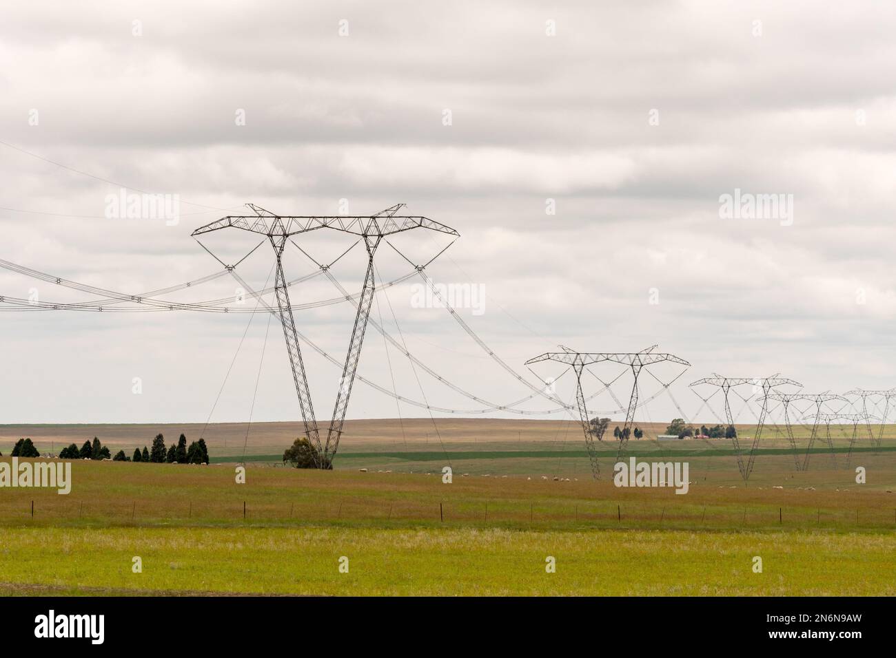 Lignes électriques, pylônes d'électricité traversant une ferme de moutons dans l'État libre, crise énergétique du concept d'Afrique du Sud et Eskom Banque D'Images