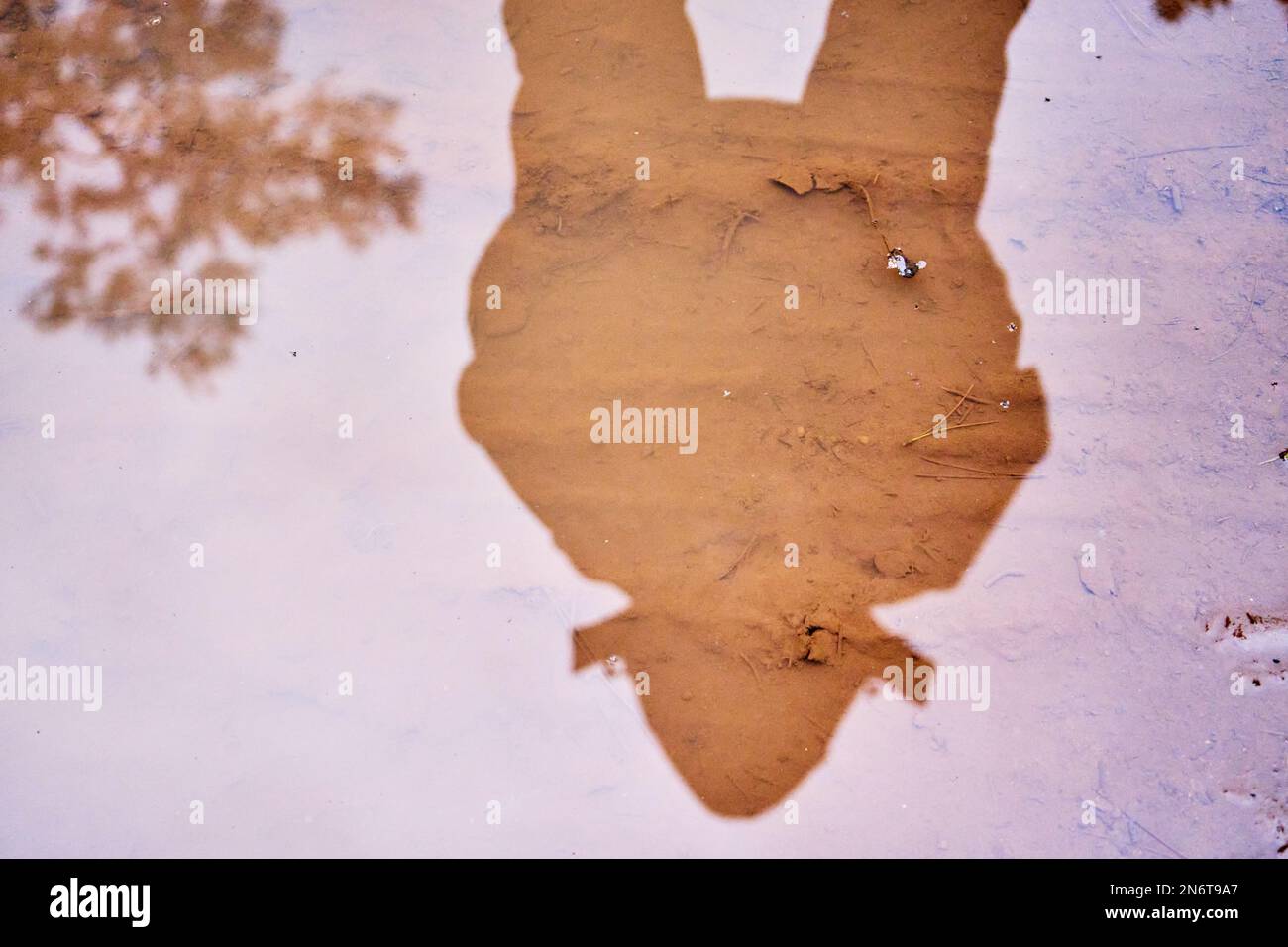 Un reflet d'un homme dans l'eau Banque D'Images