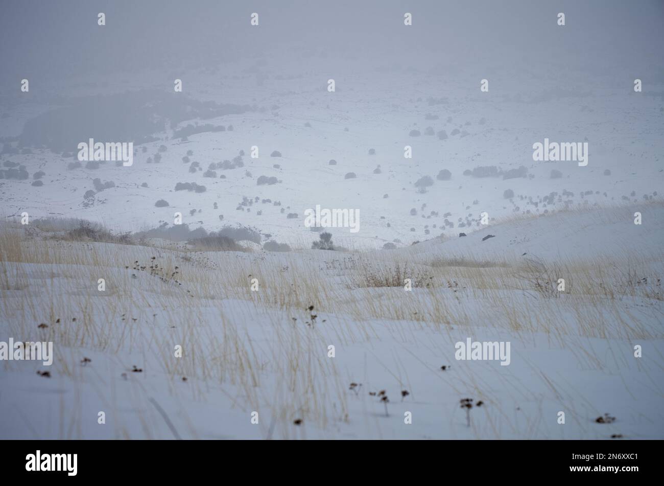 Paysage d'hiver avec brume sur la neige de montagne couverte le long du chemin sur la 'chiena dell'Asino' dans le parc national de l'Etna, un sentier de randonnée le long de la nature ' Banque D'Images