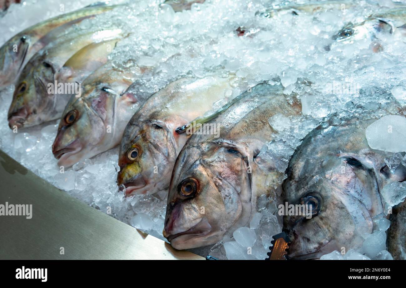Zubidi Fish, marché aux poissons du district de Mina, Vieux-Port de Doha, Qatar Banque D'Images