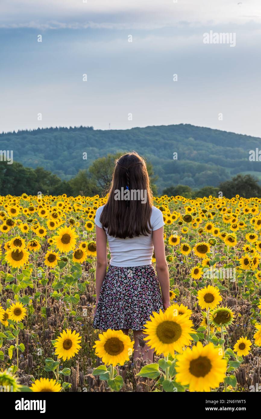 Adolescente de derrière sur un après-midi ensoleillé d'été dans un champ de tournesol. Vertical avec espace de copie. Banque D'Images