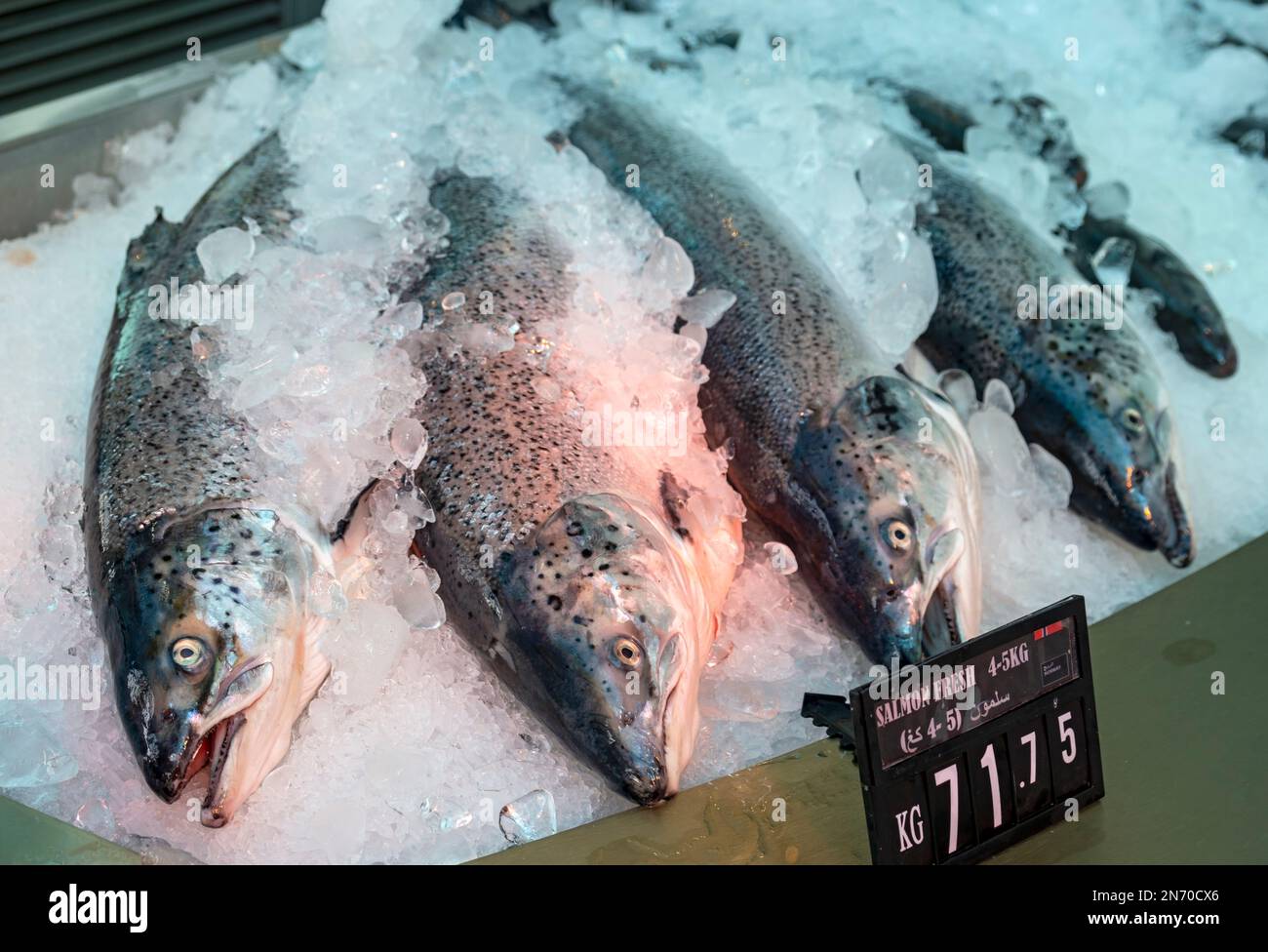 Saumon exposé au marché aux poissons du district de Mina, dans le Vieux-Port de Doha, au Qatar Banque D'Images