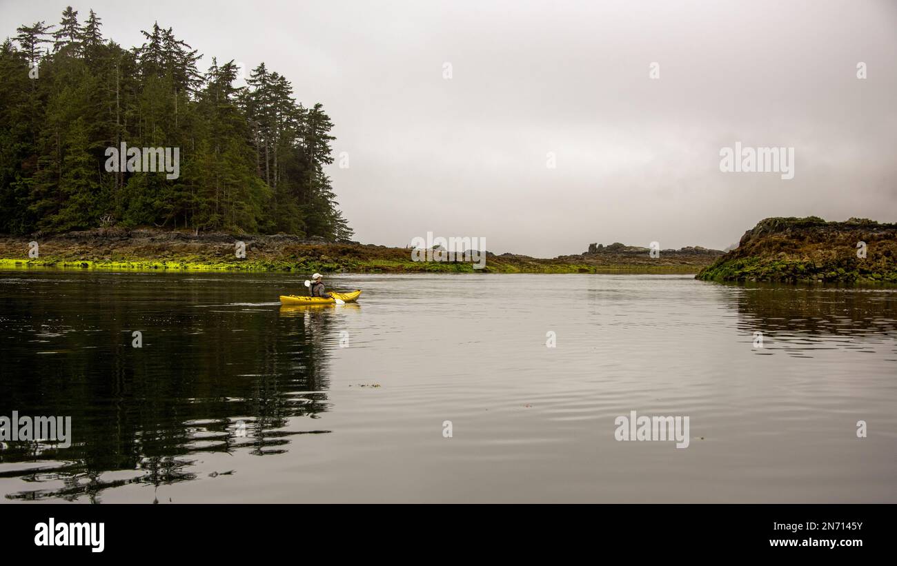 Kayak de mer à marée basse près des îles Bischof, baie Juan Perez, réserve de parc national Gwaii Haanas, Haida Gwaii Banque D'Images
