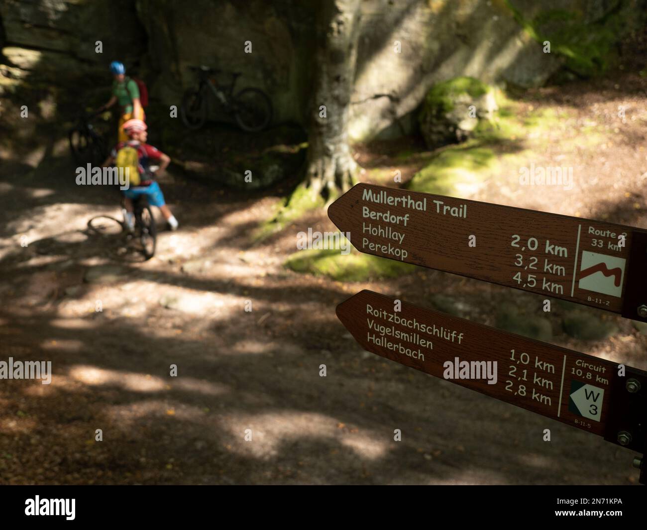 E-motard de montagne sur un seul sentier dans le Mullerthal près de Berdorf. Typique pour les sentiers de la nature dans le Mullerthal: Escaliers, escaliers, escaliers. Une courte section ici mène également sur le sentier de randonnée 'Mullerthal Trail' - la considération extrême pour les randonneurs est appelée ici! Le Mullerthal a été la première région du Luxembourg à être systématiquement équipée d'une signalisation harmonisée avec les noms de lieux. Parfait si vous voyagez sans plan. Banque D'Images