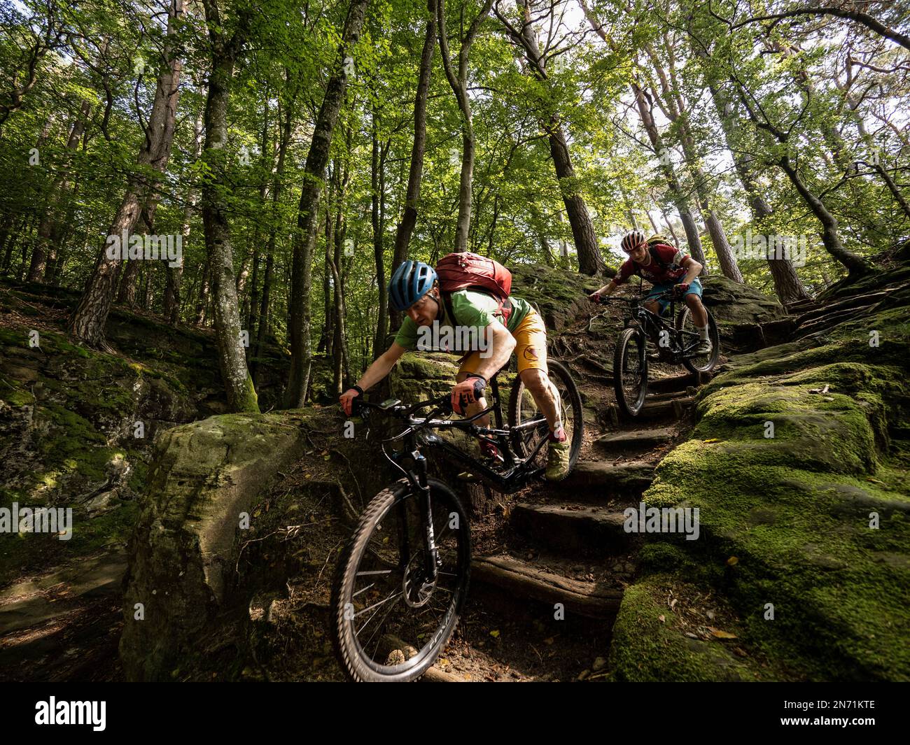 E-motard de montagne sur un seul sentier dans le Mullerthal près de Berdorf. Typique pour les sentiers de la nature dans le Mullerthal: Escaliers, escaliers, escaliers. Une courte section ici mène également sur le sentier de randonnée 'Mullerthal Trail' - la considération extrême pour les randonneurs est appelée ici! Ici sur le chemin de la 'Schnellert', une descente qui fait partie d'un sentier officiel MTB, nommé d'après la réserve naturelle forestière du même nom 'Schnellert' (145 ha). Banque D'Images