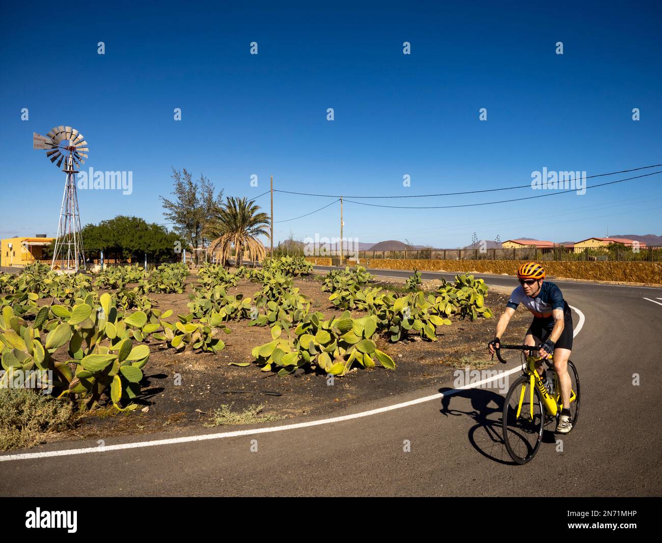 Cycliste sur la route de la campagne à Juan Gopor (Tuineje), Furetventura, avec plantation de cactus et moulin à vent avec l'inscription 'The Aermotor Chicago'. Les moulins à vent sont utilisés à ce jour sur Fuerteventura pour pomper l'eau souterraine sans électricité ou pompes diesel Banque D'Images