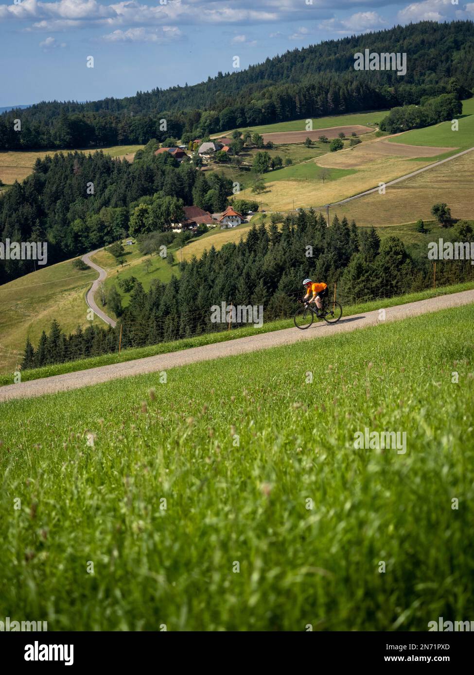 Route cycliste sur la route latérale à Horben / Breisgau Hochschwarzwald. Banque D'Images