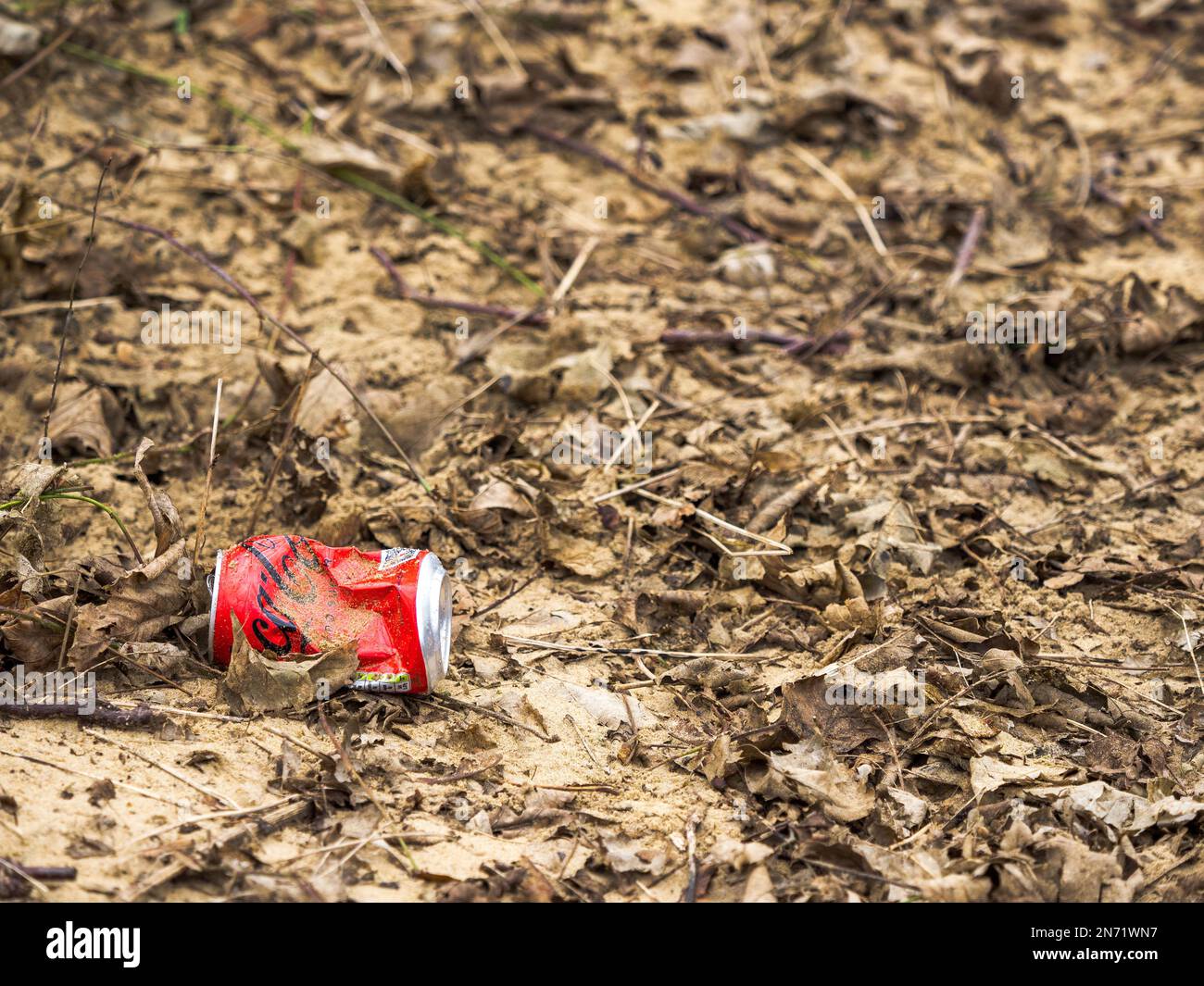 Les boissons en aluminium rouge écrasées peuvent être jetées et jetées dans l'espace réservé aux copies du sol forestier Banque D'Images