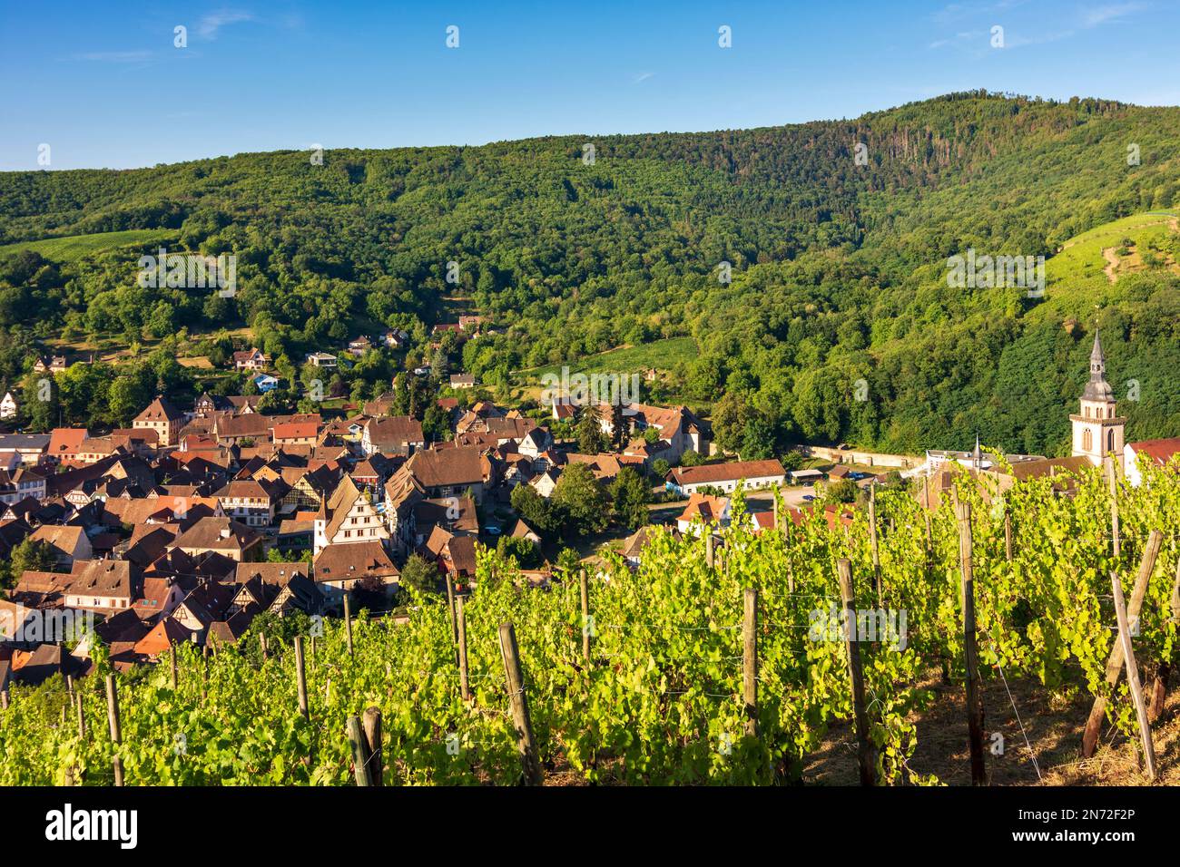 Andlau, village d'Andlau, vignobles, montagnes des Vosges en Alsace (Elsass), Bas-Rhin (Unterelsass), France Banque D'Images