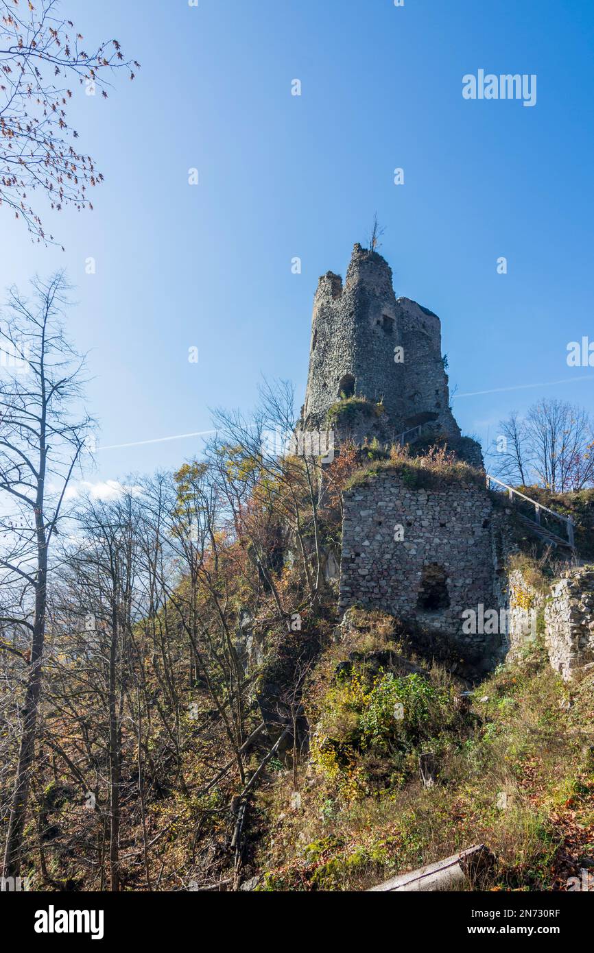 Strecno, stary hrad (ancien château) en Slovaquie Banque D'Images